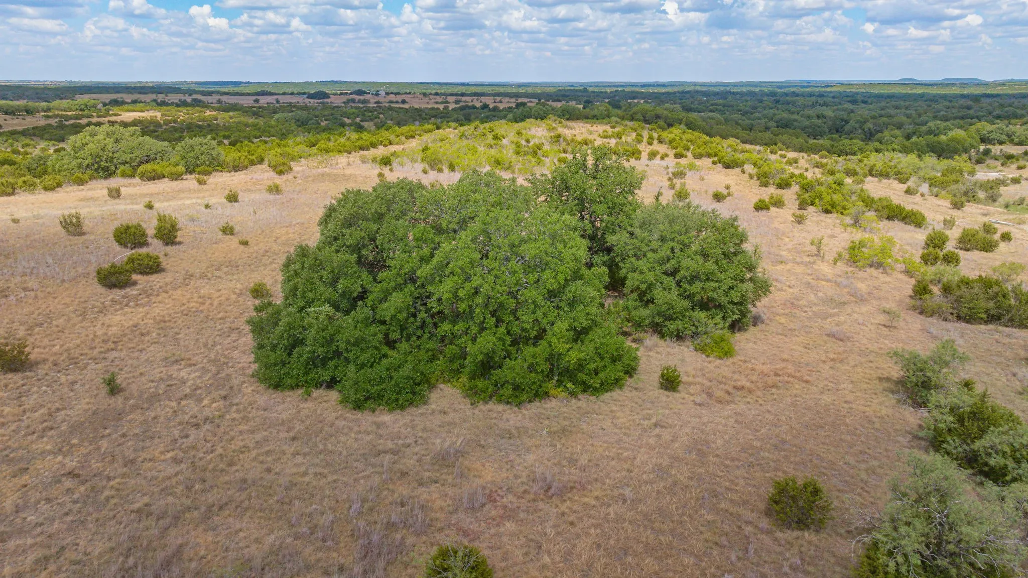 Unimproved Land For Sale in Hamilton County , TBD Private Road 3032, Hamilton, Texas 76531, 0, 0, Garage spaces, 0 Sqft, built in 0, mls#21382006, Real Estate Agent in Hamilton, Homes For Sale in Hamilton county, Homes For Sale in Hamilton, Realtor in Hamilton Texas, Real Estate Brokerage Independent Realty Texas, Luminita Cordes Realtor