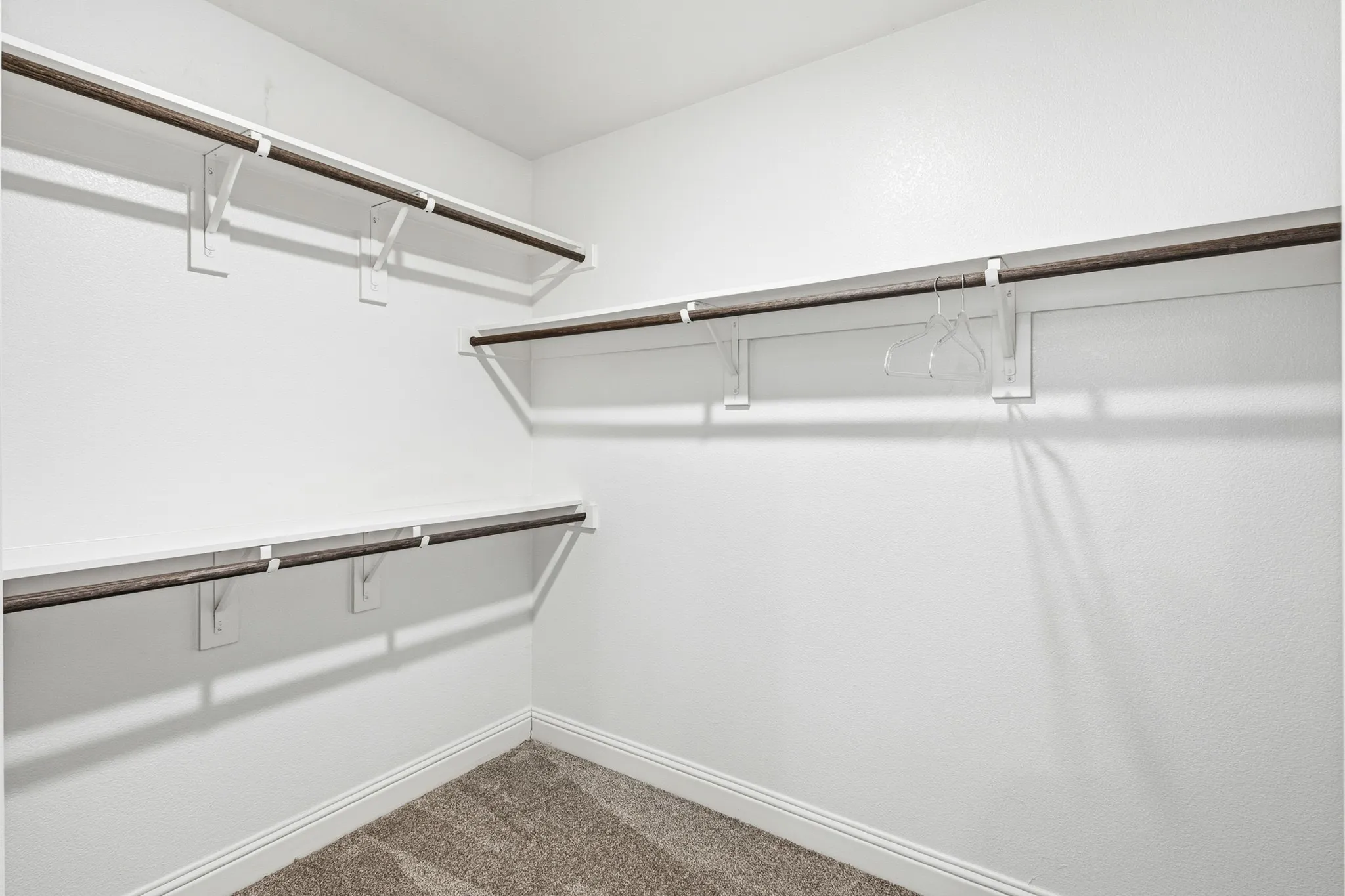 Walk-in closet featuring white wall paint, integrated shelving, and carpet flooring