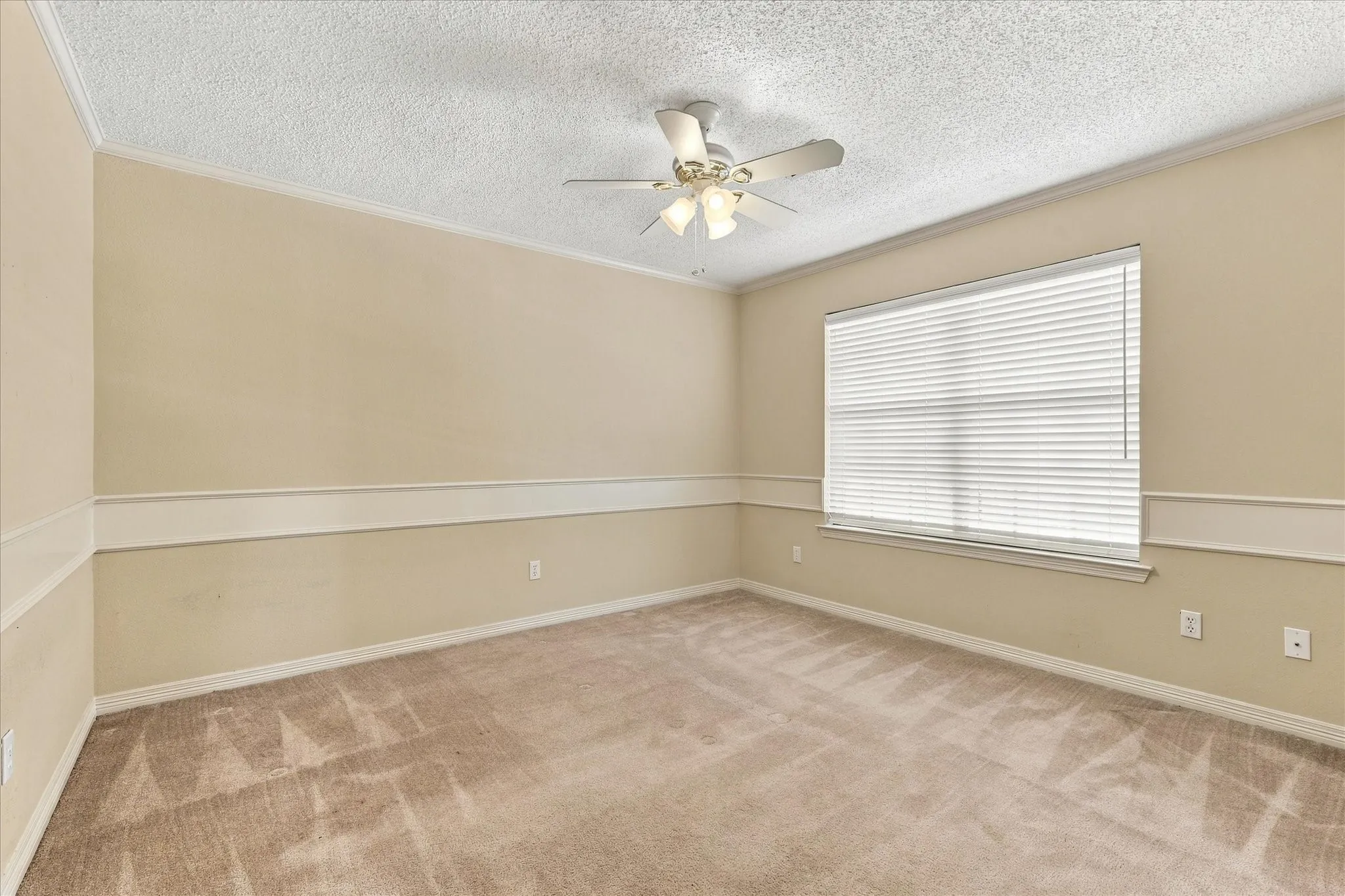 Wall-to-wall carpeting, window with blinds, ceiling fan with integrated lighting, and crown molding