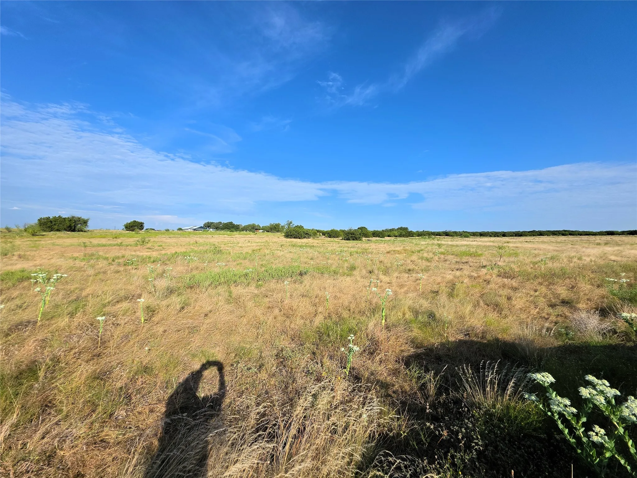 Unimproved Land For Sale in Coryell County , Lot 135 PH 2 Waggener Ranch Road, Copperas Cove, Texas 76522, 0, 0, Garage spaces, 0 Sqft, built in 0, mls#21388316, Real Estate Agent in Copperas Cove, Homes For Sale in Coryell county, Homes For Sale in Copperas Cove, Realtor in Copperas Cove Texas, Real Estate Brokerage Independent Realty Texas, Luminita Cordes Realtor