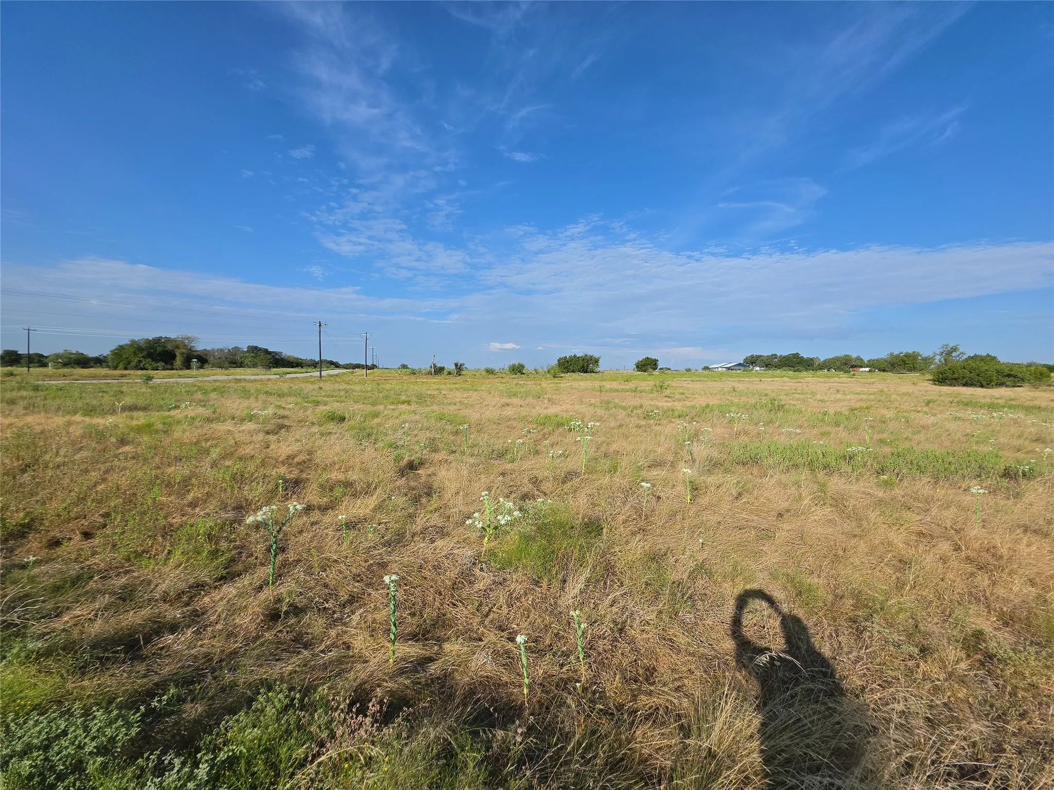 Unimproved Land For Sale in Coryell County , Lot 135 PH 2 Waggener Ranch Road, Copperas Cove, Texas 76522, 0, 0, Garage spaces, 0 Sqft, built in 0, mls#21388316, Real Estate Agent in Copperas Cove, Homes For Sale in Coryell county, Homes For Sale in Copperas Cove, Realtor in Copperas Cove Texas, Real Estate Brokerage Independent Realty Texas, Luminita Cordes Realtor