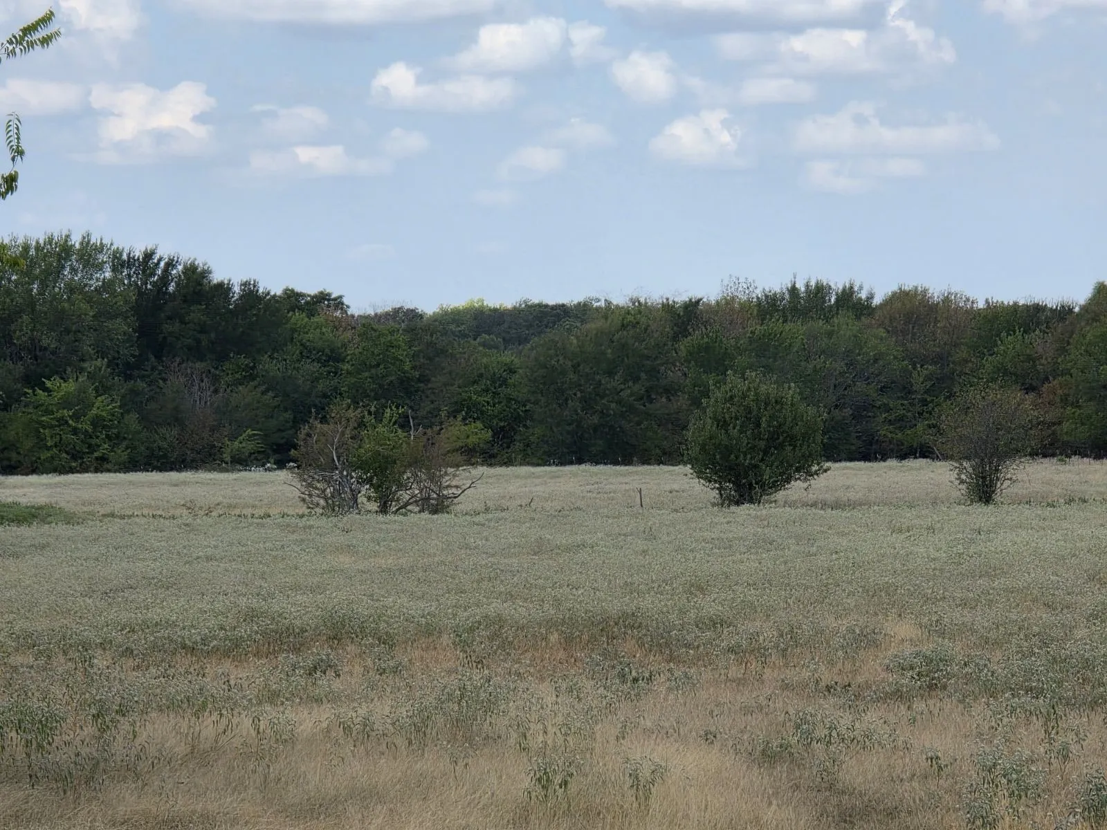 Unimproved Land For Sale in Hunt County , TBD Fm 904, Commerce, Texas 75428, 0, 0, Garage spaces, 0 Sqft, built in 0, mls#21388146, Real Estate Agent in Commerce, Homes For Sale in Hunt county, Homes For Sale in Commerce, Realtor in Commerce Texas, Real Estate Brokerage Independent Realty Texas, Luminita Cordes Realtor
