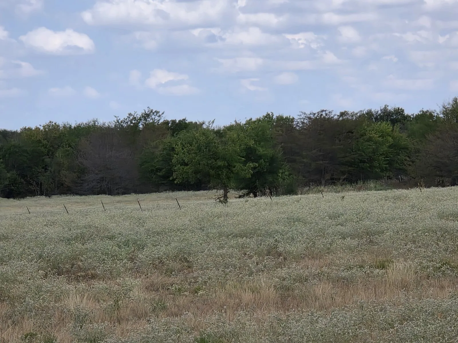 Unimproved Land For Sale in Hunt County , TBD Fm 904, Commerce, Texas 75428, 0, 0, Garage spaces, 0 Sqft, built in 0, mls#21388146, Real Estate Agent in Commerce, Homes For Sale in Hunt county, Homes For Sale in Commerce, Realtor in Commerce Texas, Real Estate Brokerage Independent Realty Texas, Luminita Cordes Realtor
