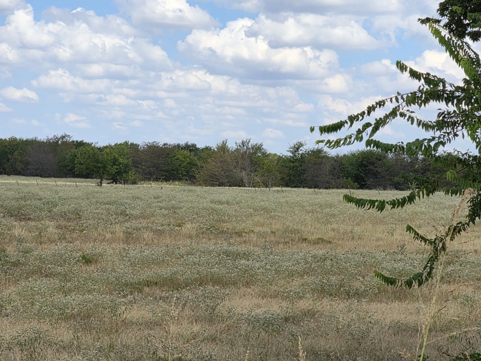 Unimproved Land For Sale in Hunt County , TBD Fm 904, Commerce, Texas 75428, 0, 0, Garage spaces, 0 Sqft, built in 0, mls#21388146, Real Estate Agent in Commerce, Homes For Sale in Hunt county, Homes For Sale in Commerce, Realtor in Commerce Texas, Real Estate Brokerage Independent Realty Texas, Luminita Cordes Realtor