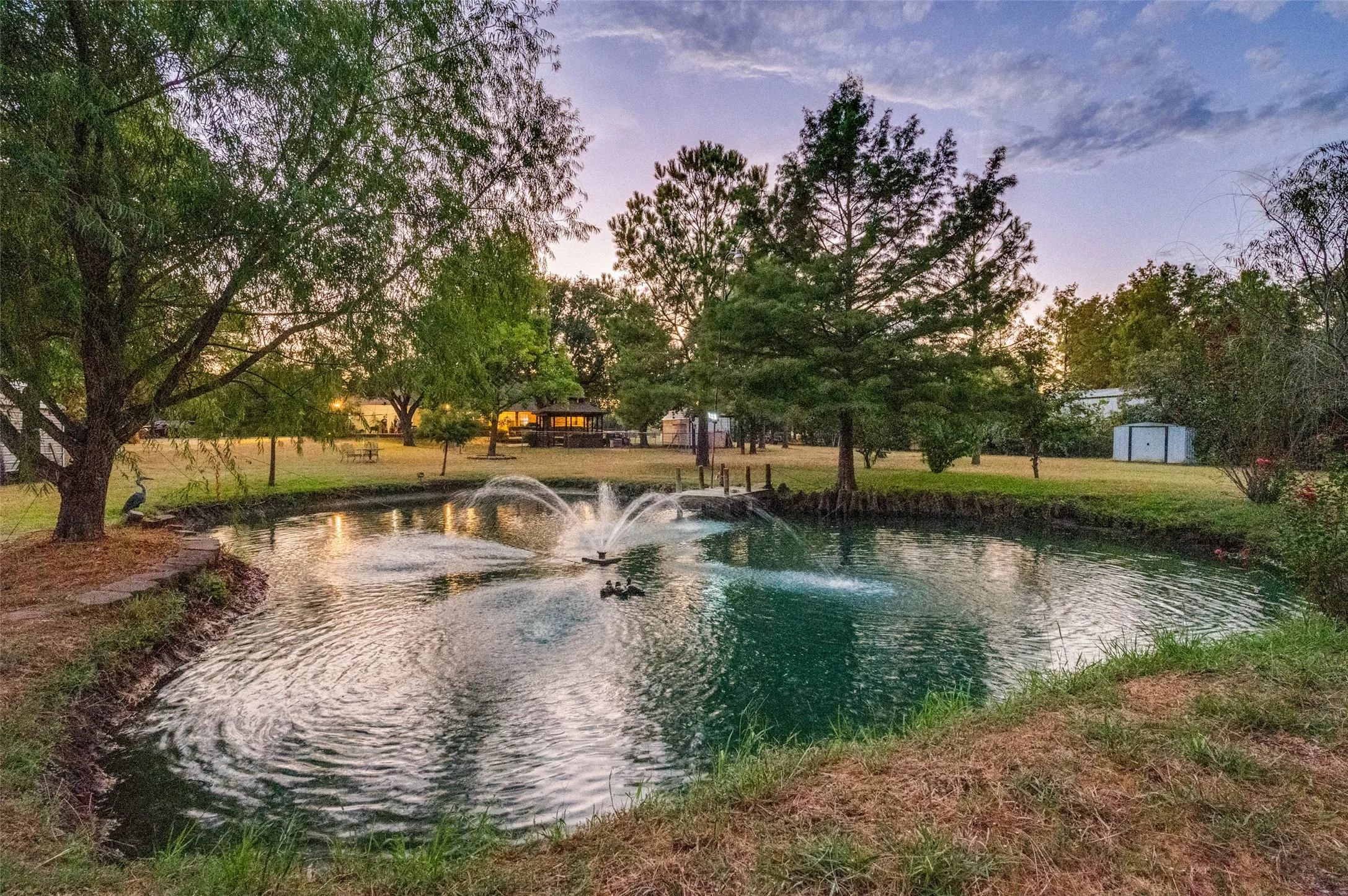 enjoy watching and  feeding the fish in the stocked pond