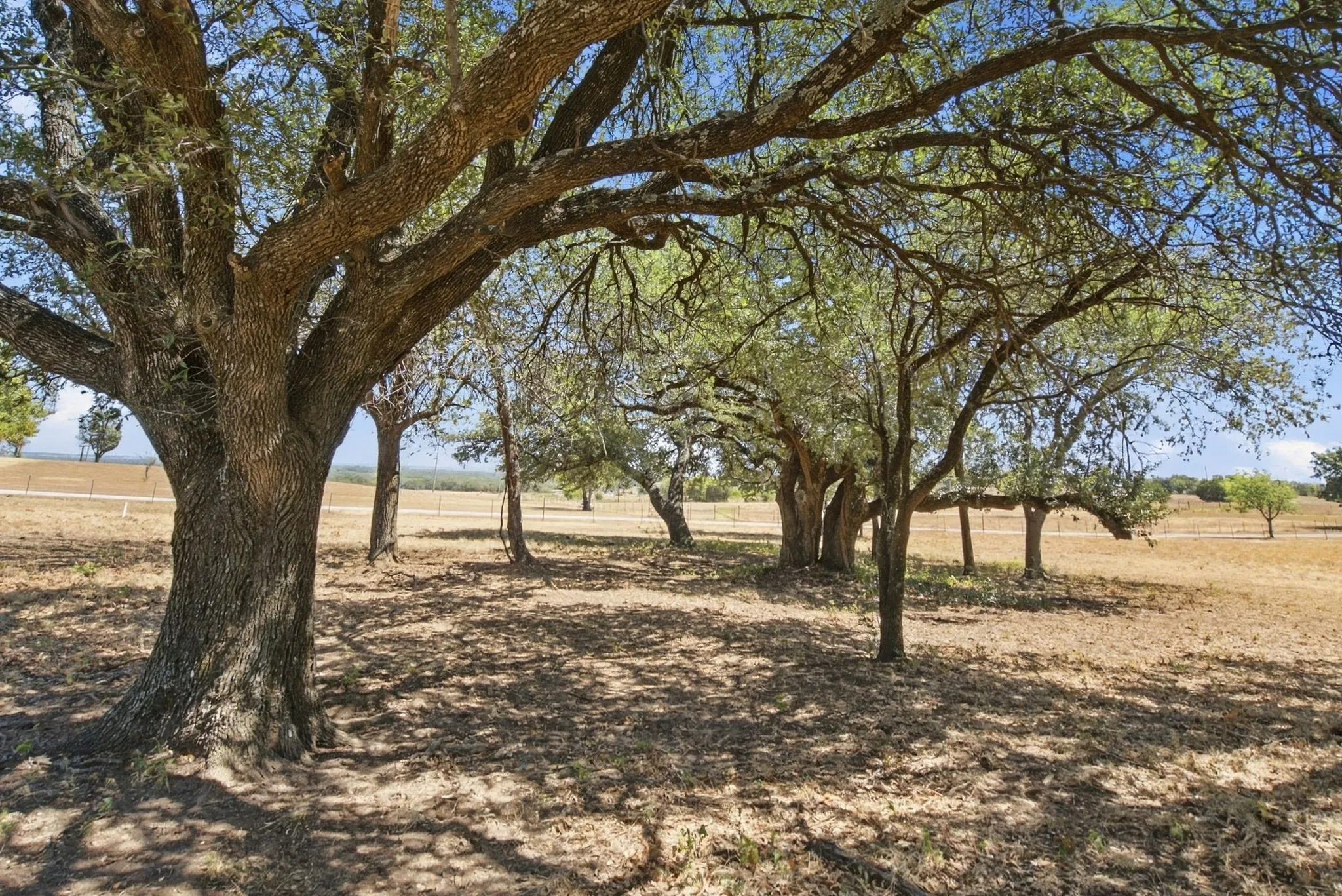 Single Family Residence For Sale in Parker County , 100 Shadle Ridge Court, Poolville, Texas 76487, 3 Bedroom, 3 Bathroom, 5 Garage spaces, 2,499 Sqft, built in 1995, mls#21387961, Real Estate Agent in Poolville, Homes For Sale in Parker county, Homes For Sale in Poolville, Realtor in Poolville Texas, Real Estate Brokerage Independent Realty Texas, Luminita Cordes Realtor