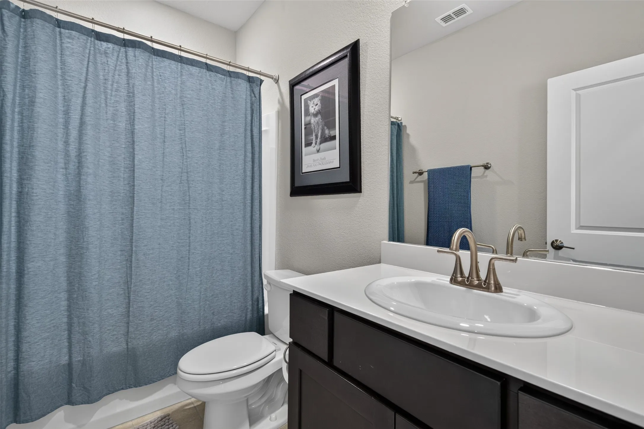 Single Family Residence For Rent in Rockwall County , 3014 Water Light Lane, Royse City, Texas 75189, 3 Bedroom, 2 Bathroom, 2 Garage spaces, 1,842 Sqft, built in 2023, mls#21388080, Real Estate Agent in Royse City, Homes For Rent in Rockwall county, Homes For Rent in Royse City, Realtor in Royse City Texas, Real Estate Brokerage Independent Realty Texas, Luminita Cordes Realtor