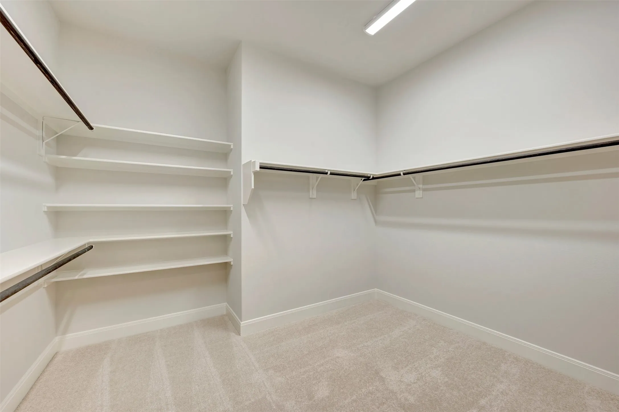 Walk-in closet featuring built-in shelving, multiple hanging rods, and neutral-toned carpeting