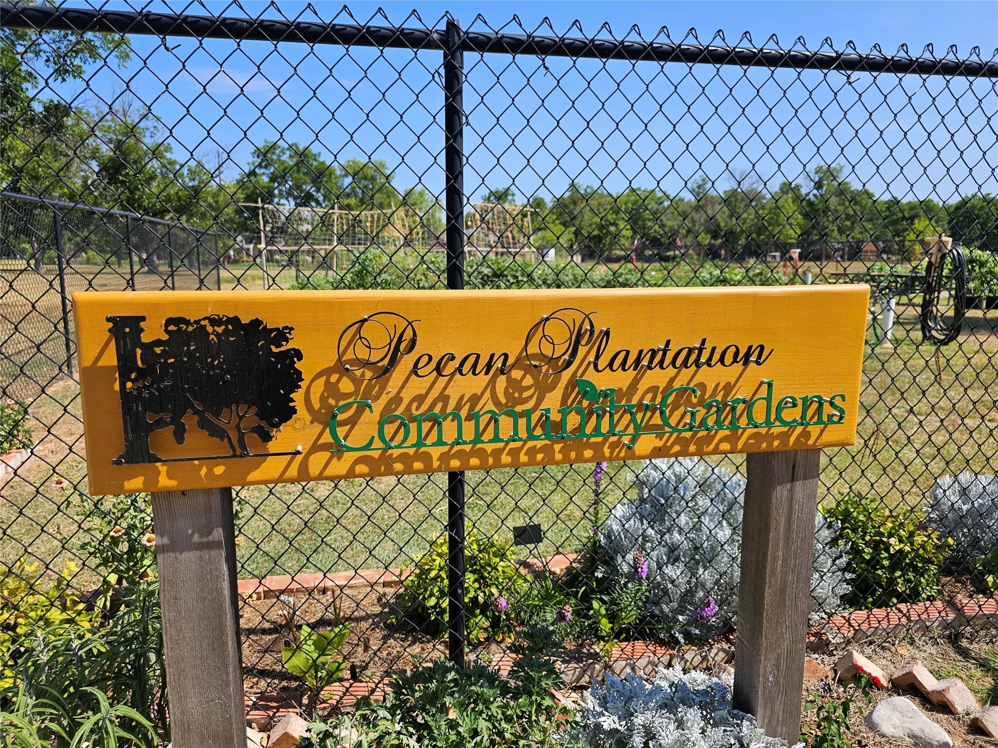 Community Garden