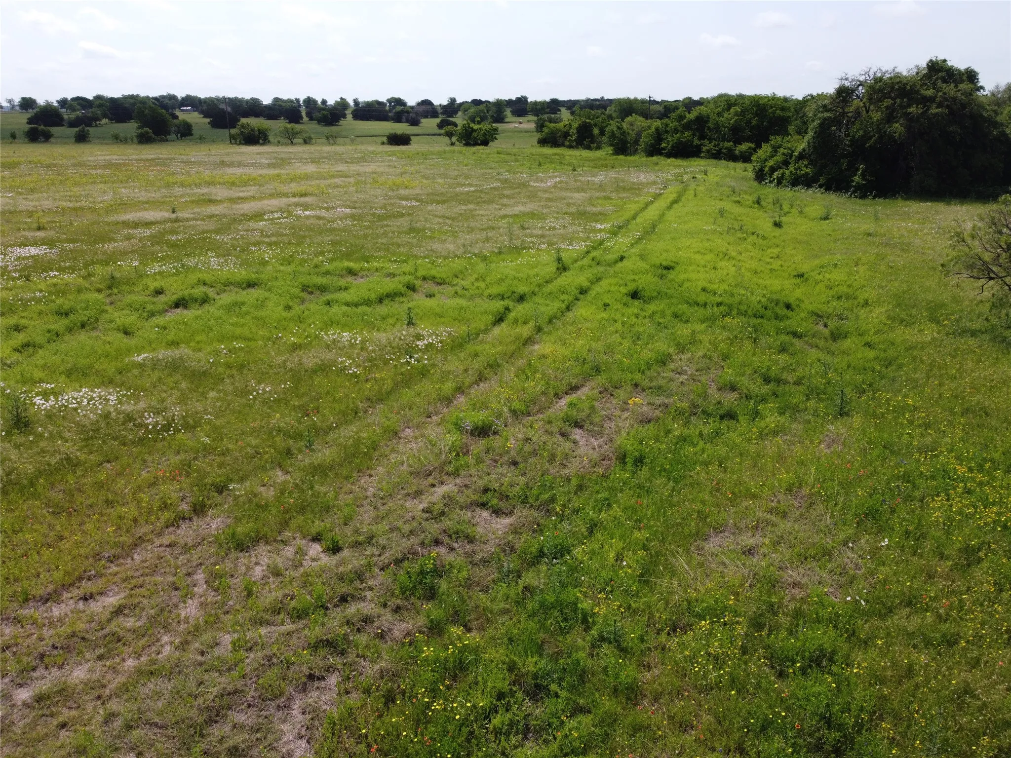 Unimproved Land For Sale in Hill County , 1005 White Bluff Drive 1007, Whitney, Texas 76692, 0, 0, Garage spaces, 0 Sqft, built in 0, mls#21388414, Real Estate Agent in Whitney, Homes For Sale in Hill county, Homes For Sale in Whitney, Realtor in Whitney Texas, Real Estate Brokerage Independent Realty Texas, Luminita Cordes Realtor