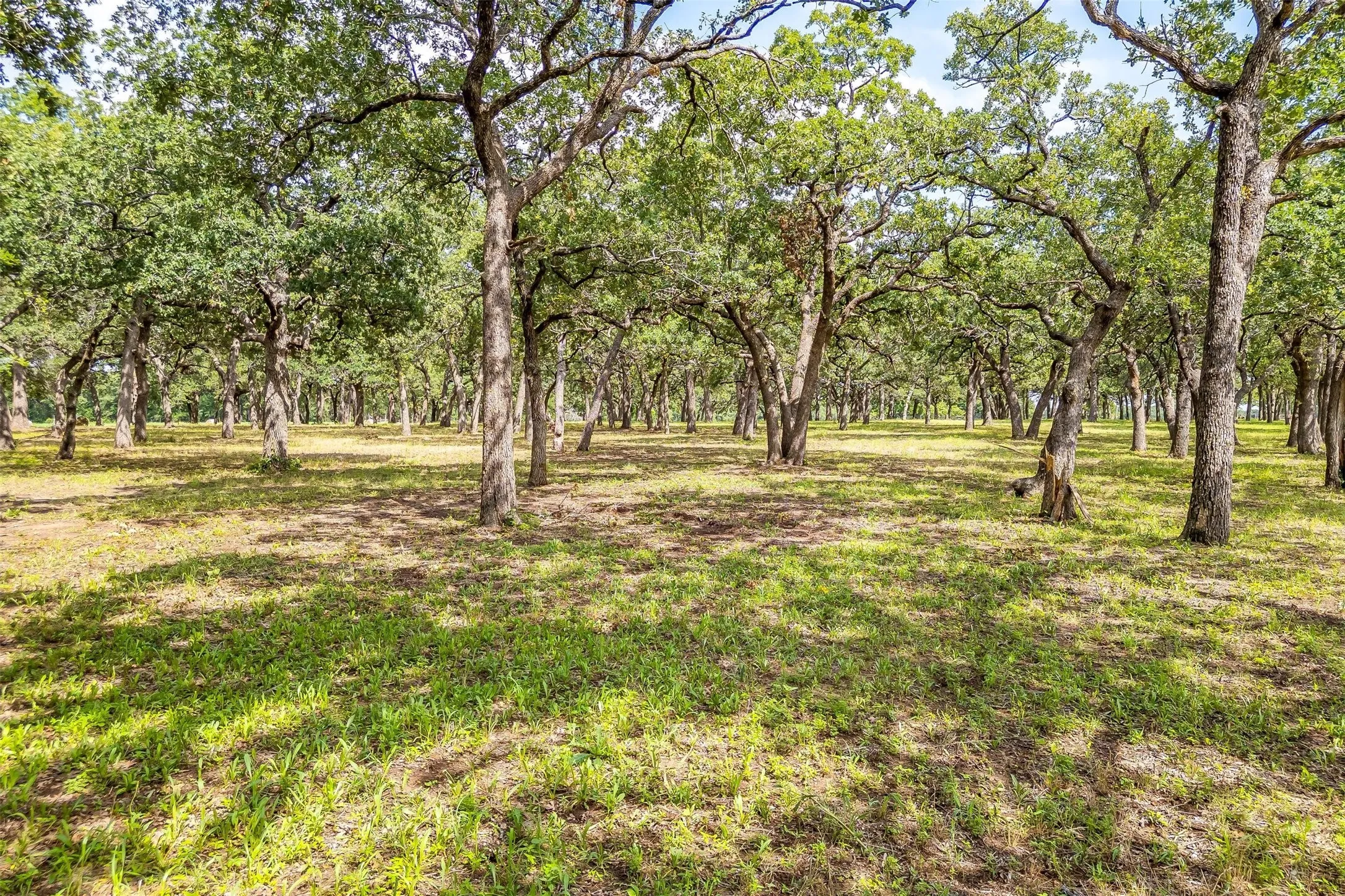 Single Family Residence For Sale in Montague County , 3019 Orchard Road, Bowie, Texas 76230, 4 Bedroom, 4 Bathroom, 2 Garage spaces, 3,480 Sqft, built in 2024, mls#21388418, Real Estate Agent in Bowie, Homes For Sale in Montague county, Homes For Sale in Bowie, Realtor in Bowie Texas, Real Estate Brokerage Independent Realty Texas, Luminita Cordes Realtor