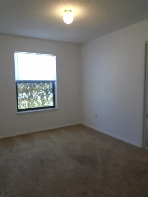 Single Family Residence For Rent in Taylor County , 3910 Trinity Lane, Abilene, Texas 79602, 3 Bedroom, 2 Bathroom, 2 Garage spaces, 1,198 Sqft, built in 1994, mls#21388431, Real Estate Agent in Abilene, Homes For Rent in Taylor county, Homes For Rent in Abilene, Realtor in Abilene Texas, Real Estate Brokerage Independent Realty Texas, Luminita Cordes Realtor
