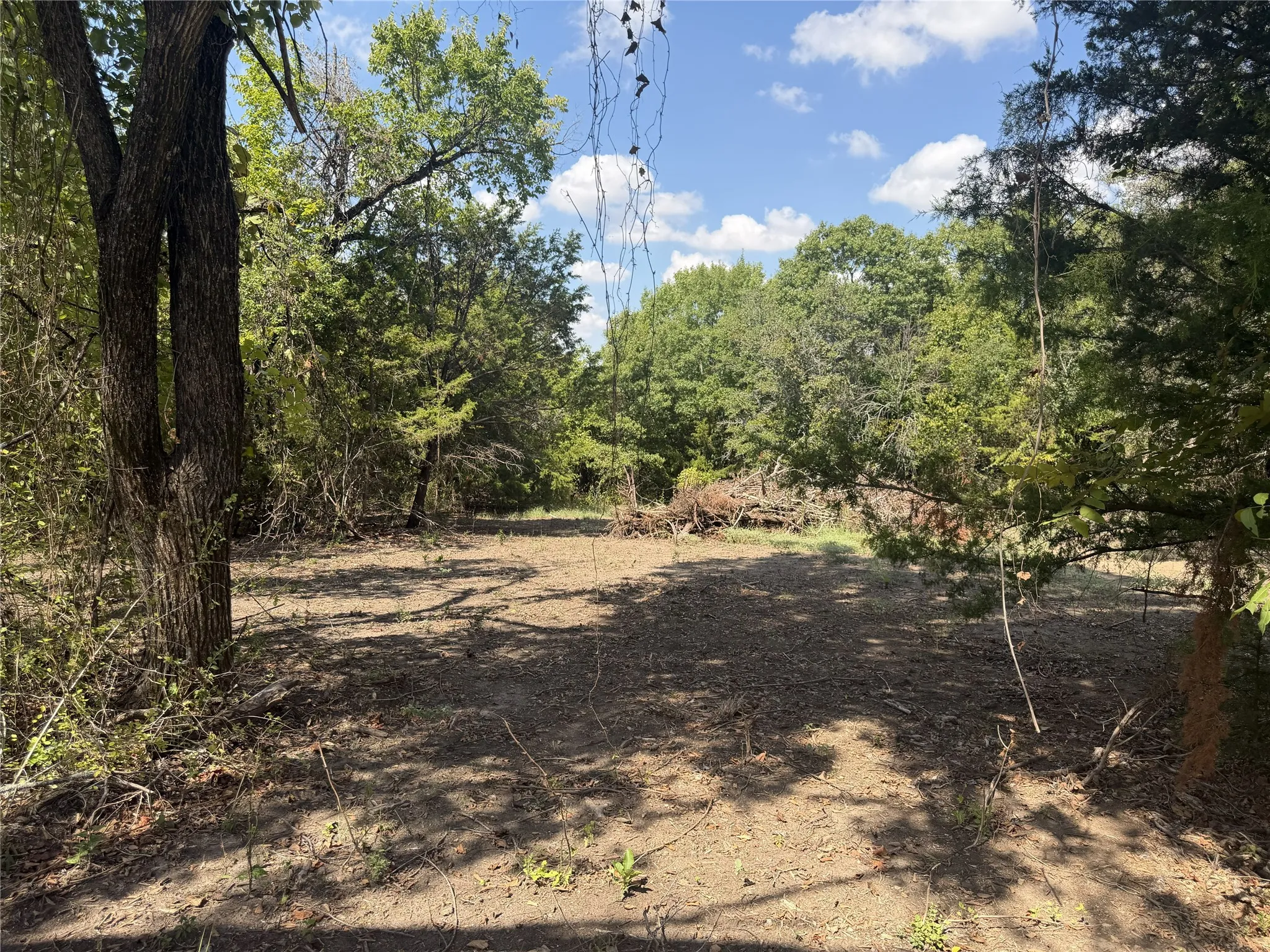 Expansive lot with mature trees and cleared land