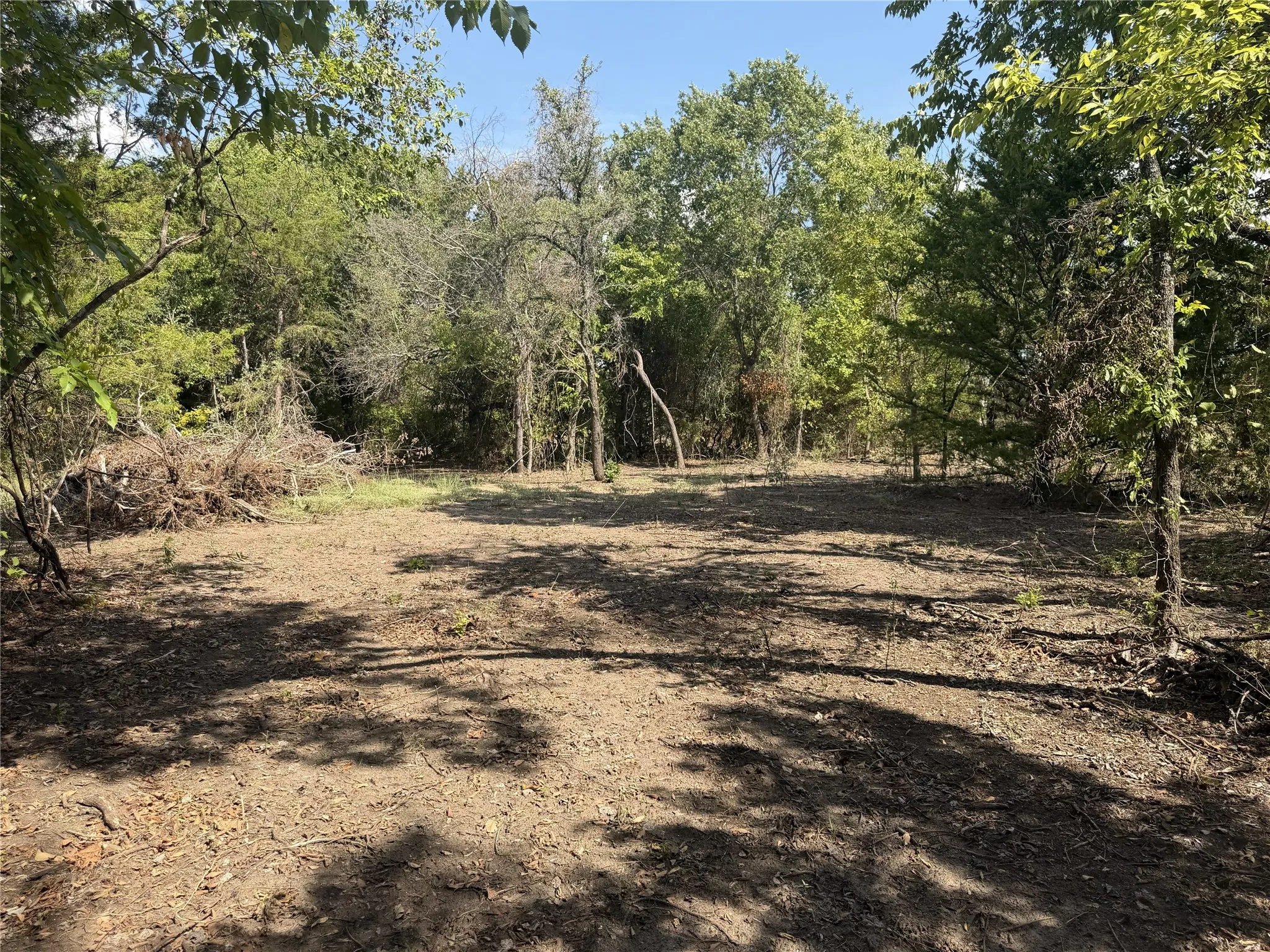 Cleared lot with natural tree surroundings