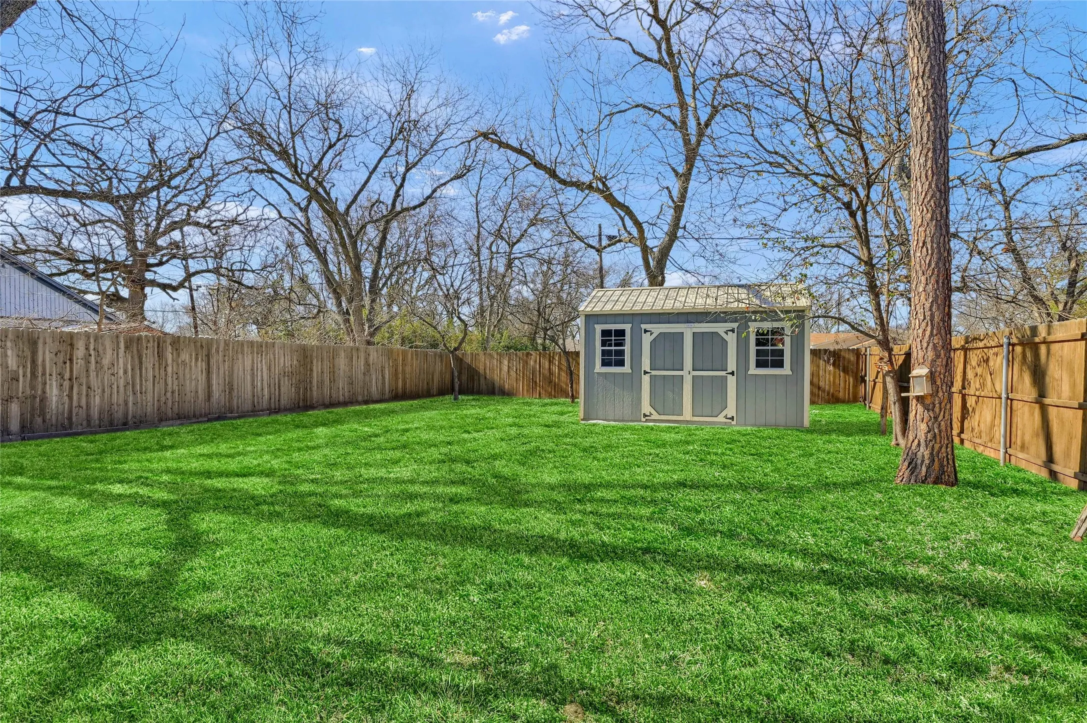 View of yard with a shed