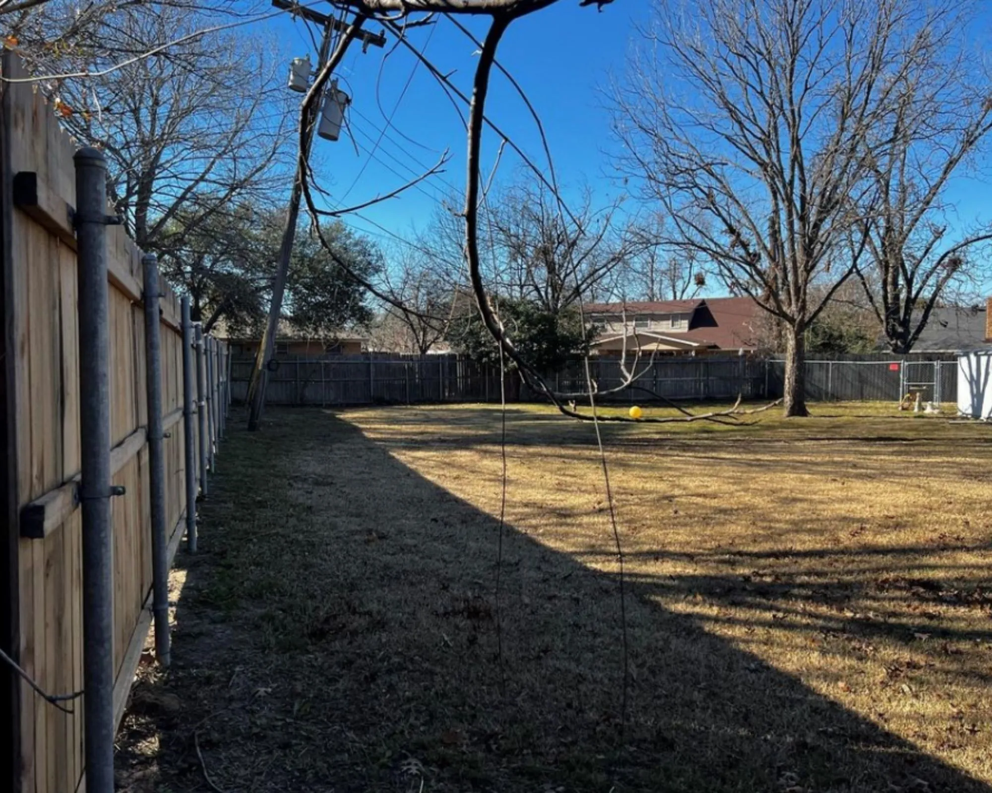 Expansive outdoor area featuring a wooden privacy fence, mature trees, and a utility pole