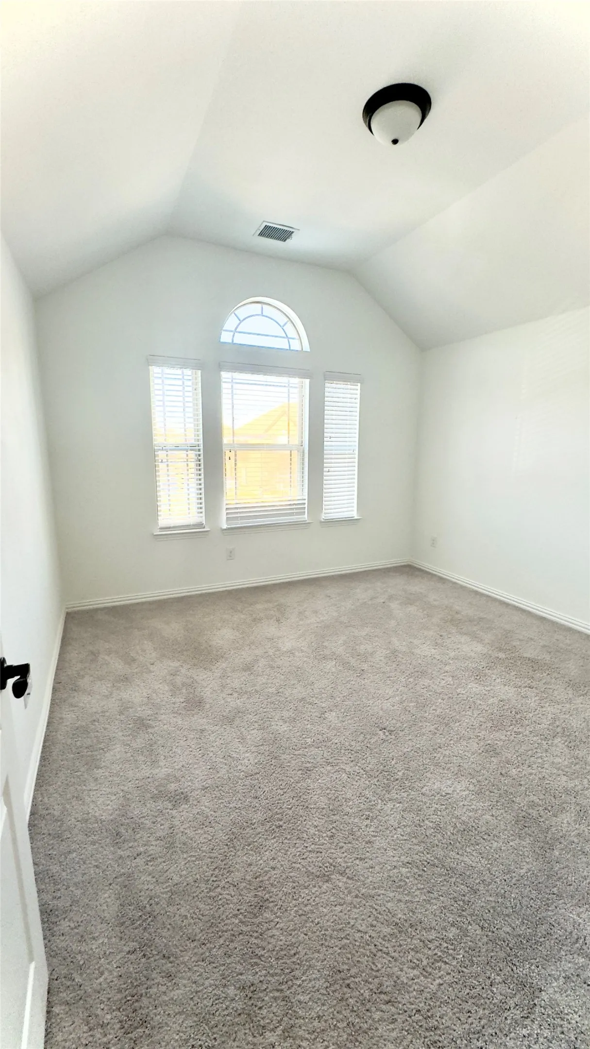 Bonus room with vaulted ceiling and carpet