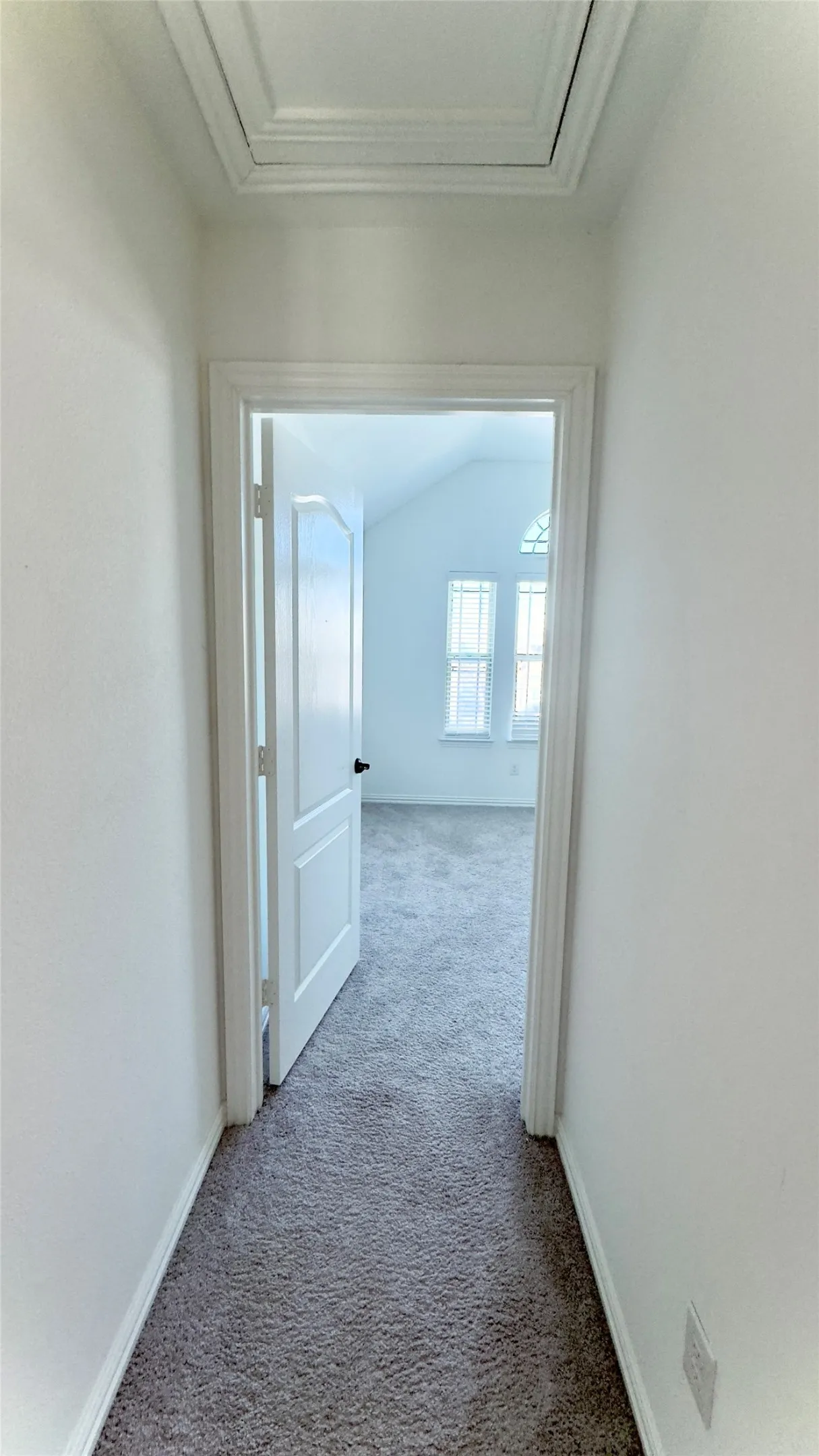 Corridor featuring carpet