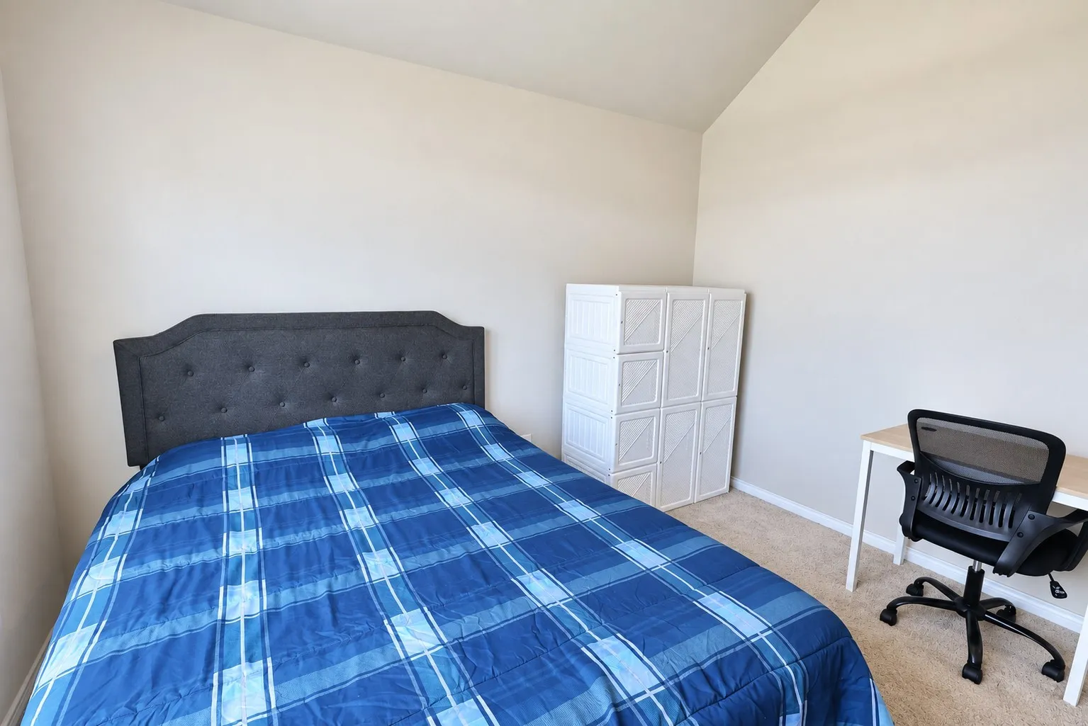 Carpeted room with vaulted ceiling and light-toned wall finishes