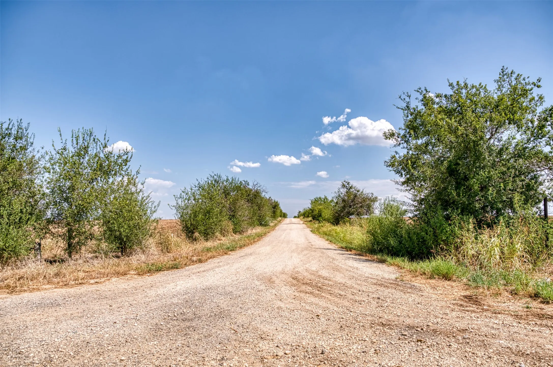 Ranch For Sale in Callahan County , TBD County Road 307, Moran, Texas 76464, 0, 0, Garage spaces, 0 Sqft, built in 0, mls#21384177, Real Estate Agent in Moran, Homes For Sale in Callahan county, Homes For Sale in Moran, Realtor in Moran Texas, Real Estate Brokerage Independent Realty Texas, Luminita Cordes Realtor