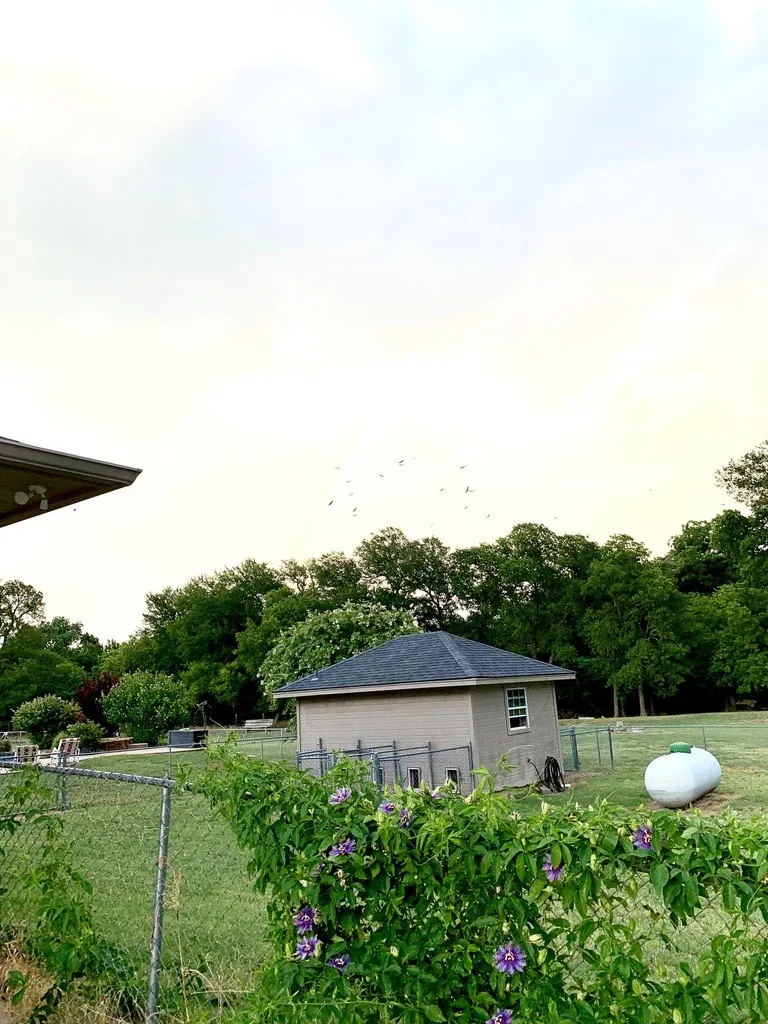 Single Family Residence For Sale in Wise County , 1189 Heritage Creek Drive, Rhome, Texas 76078, 4 Bedroom, 3 Bathroom, 4 Garage spaces, 3,599 Sqft, built in 2001, mls#21387360, Real Estate Agent in Rhome, Homes For Sale in Wise county, Homes For Sale in Rhome, Realtor in Rhome Texas, Real Estate Brokerage Independent Realty Texas, Luminita Cordes Realtor