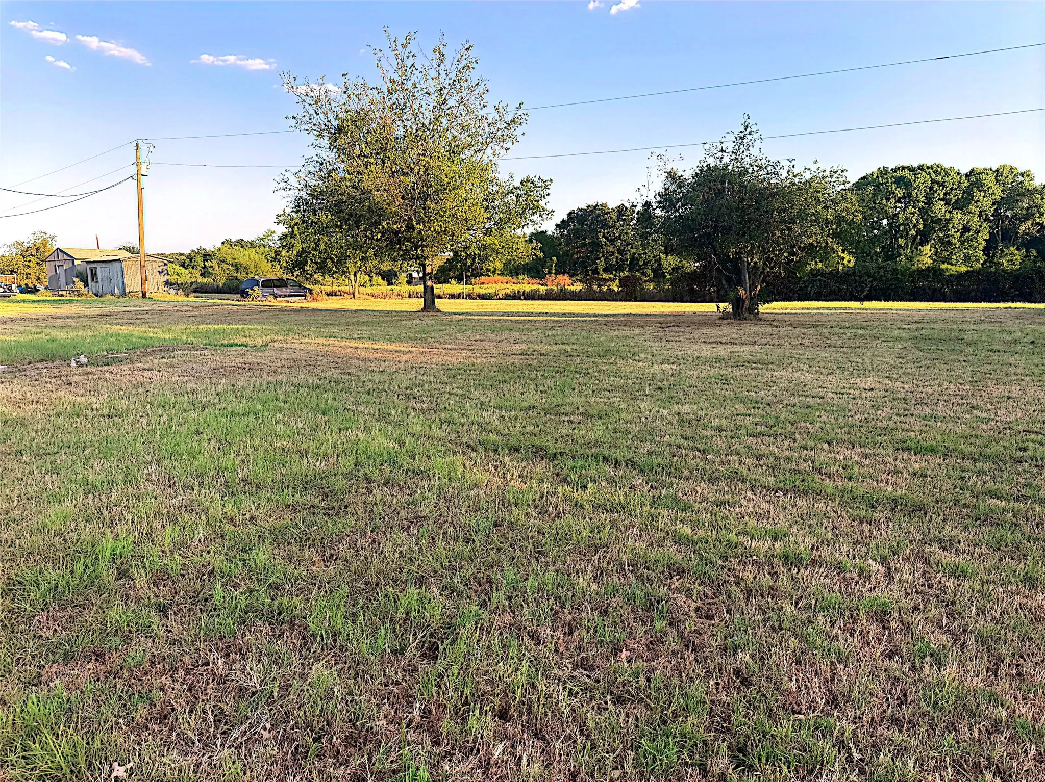 Expansive grassy area featuring mature trees and a distant structure