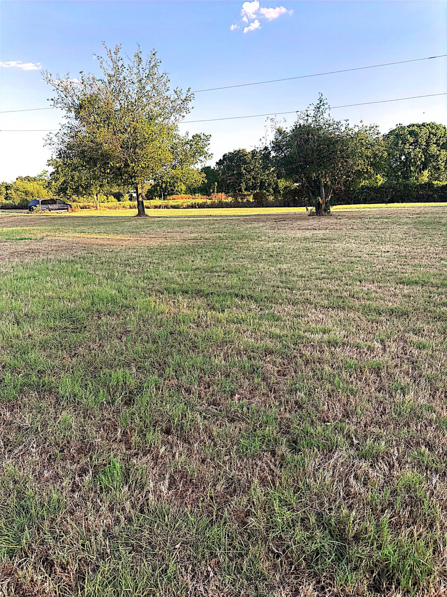 Expansive grassy parcel with scattered mature trees