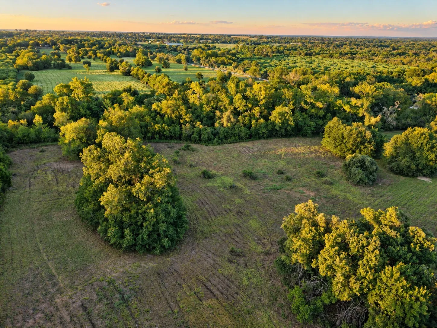 Unimproved Land For Sale in Washington (TX) County , 10277 Mount Falls School Road, Washington, Texas 77880, 0, 0, Garage spaces, 0 Sqft, built in 0, mls#21387561, Real Estate Agent in Washington, Homes For Sale in Washington (TX) county, Homes For Sale in Washington, Realtor in Washington Texas, Real Estate Brokerage Independent Realty Texas, Luminita Cordes Realtor