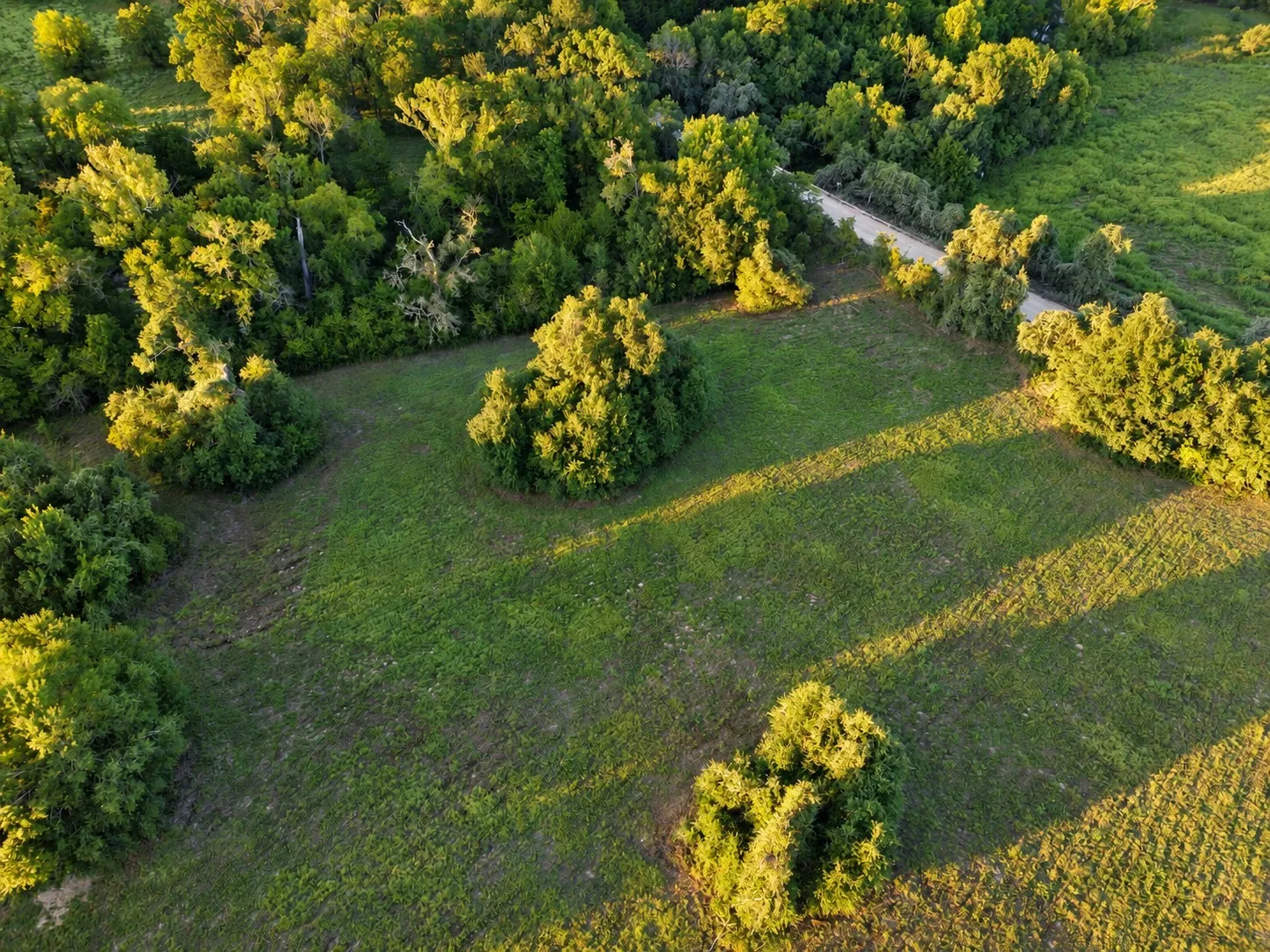 Unimproved Land For Sale in Washington (TX) County , 10277 Mount Falls School Road, Washington, Texas 77880, 0, 0, Garage spaces, 0 Sqft, built in 0, mls#21387561, Real Estate Agent in Washington, Homes For Sale in Washington (TX) county, Homes For Sale in Washington, Realtor in Washington Texas, Real Estate Brokerage Independent Realty Texas, Luminita Cordes Realtor