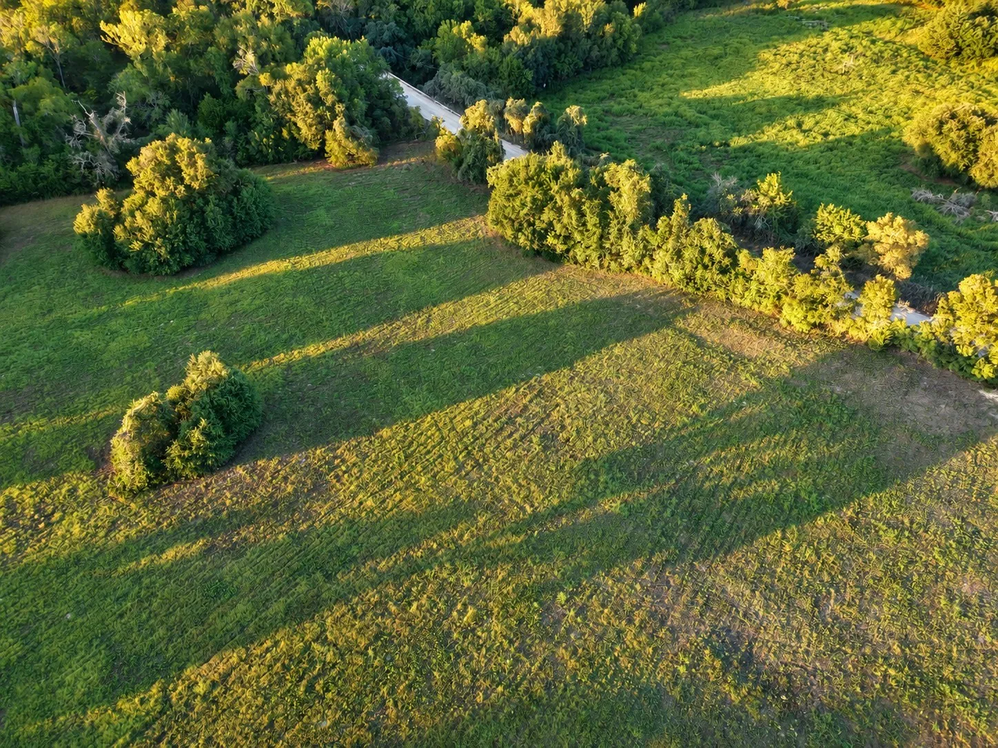 Unimproved Land For Sale in Washington (TX) County , 10277 Mount Falls School Road, Washington, Texas 77880, 0, 0, Garage spaces, 0 Sqft, built in 0, mls#21387561, Real Estate Agent in Washington, Homes For Sale in Washington (TX) county, Homes For Sale in Washington, Realtor in Washington Texas, Real Estate Brokerage Independent Realty Texas, Luminita Cordes Realtor
