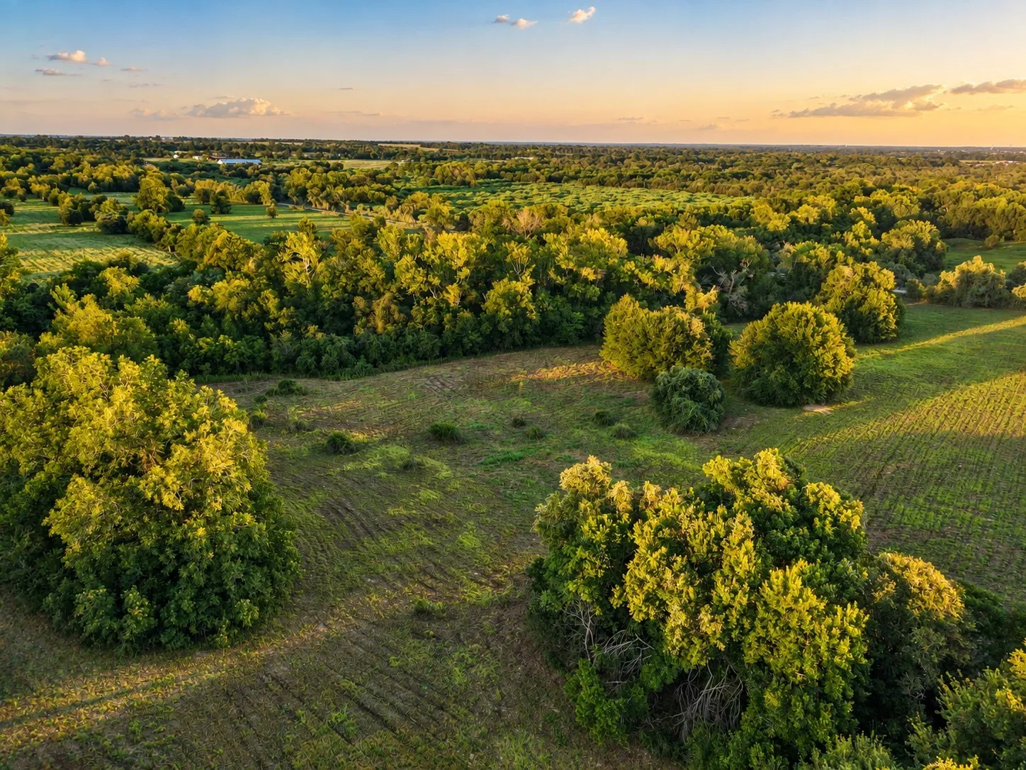 Unimproved Land For Sale in Washington (TX) County , 10277 Mount Falls School Road, Washington, Texas 77880, 0, 0, Garage spaces, 0 Sqft, built in 0, mls#21387561, Real Estate Agent in Washington, Homes For Sale in Washington (TX) county, Homes For Sale in Washington, Realtor in Washington Texas, Real Estate Brokerage Independent Realty Texas, Luminita Cordes Realtor