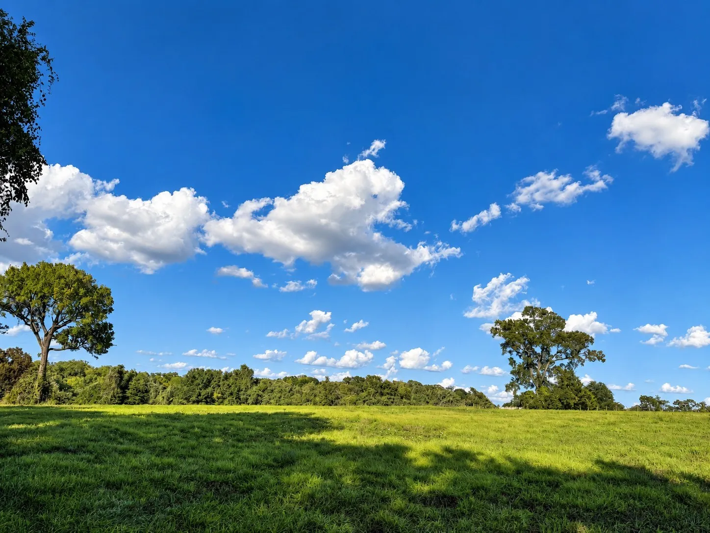 Unimproved Land For Sale in Washington (TX) County , 10277 Mount Falls School Road, Washington, Texas 77880, 0, 0, Garage spaces, 0 Sqft, built in 0, mls#21387561, Real Estate Agent in Washington, Homes For Sale in Washington (TX) county, Homes For Sale in Washington, Realtor in Washington Texas, Real Estate Brokerage Independent Realty Texas, Luminita Cordes Realtor