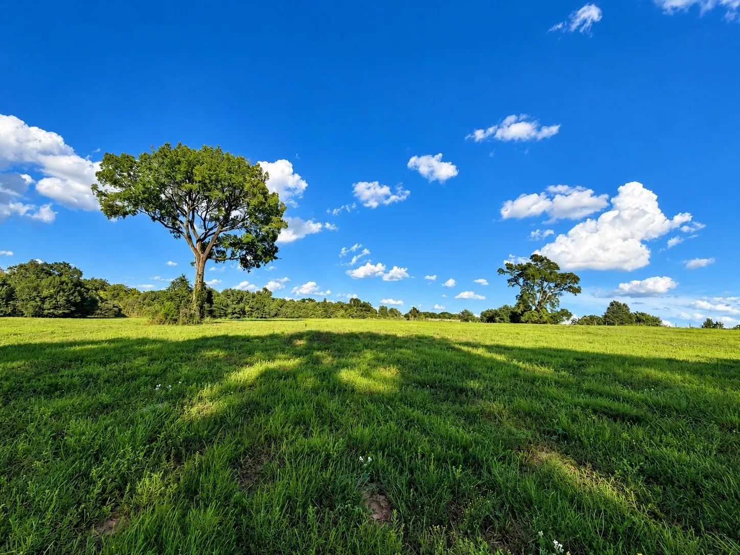 Unimproved Land For Sale in Washington (TX) County , 10277 Mount Falls School Road, Washington, Texas 77880, 0, 0, Garage spaces, 0 Sqft, built in 0, mls#21387561, Real Estate Agent in Washington, Homes For Sale in Washington (TX) county, Homes For Sale in Washington, Realtor in Washington Texas, Real Estate Brokerage Independent Realty Texas, Luminita Cordes Realtor