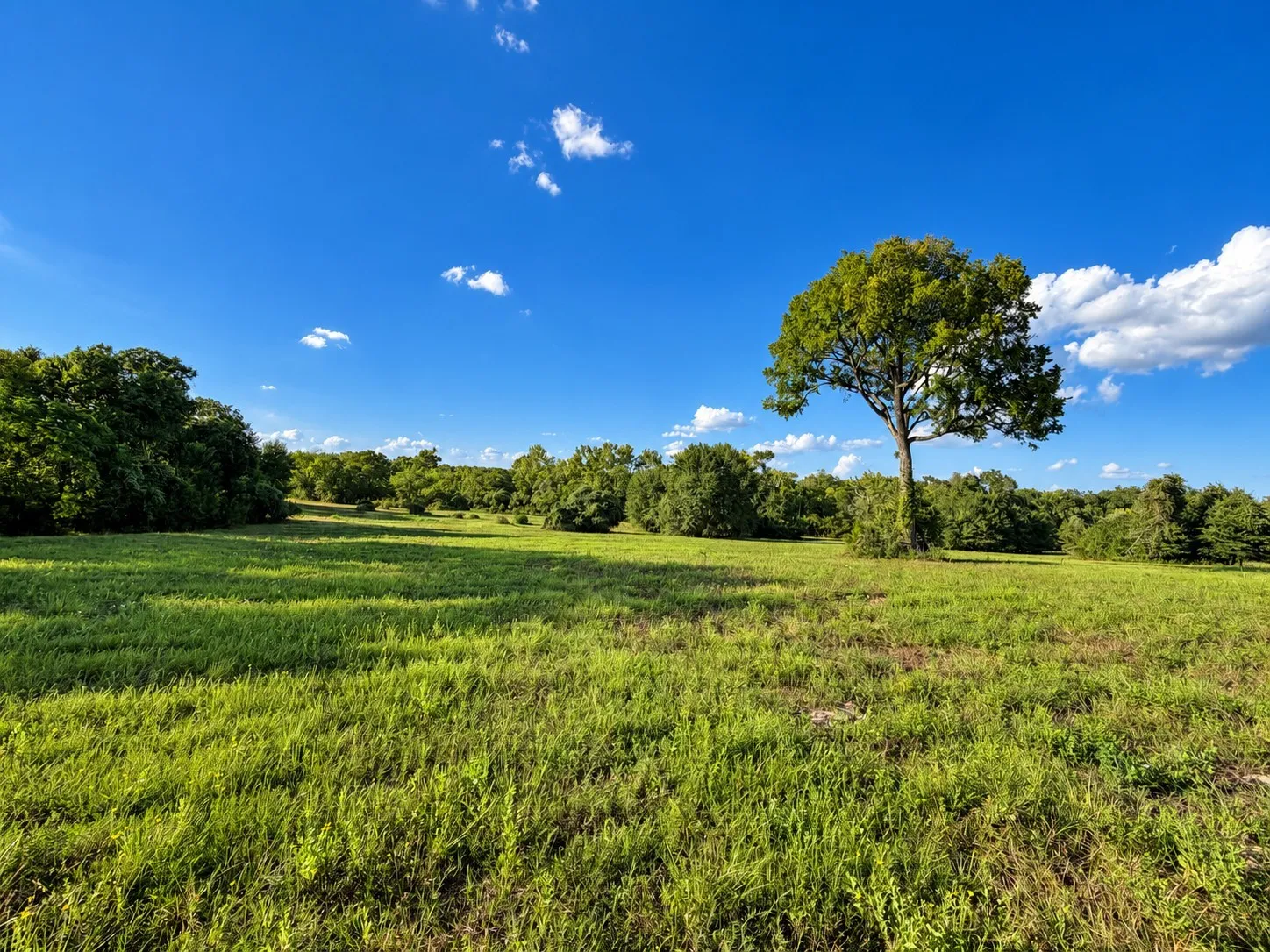 Unimproved Land For Sale in Washington (TX) County , 10277 Mount Falls School Road, Washington, Texas 77880, 0, 0, Garage spaces, 0 Sqft, built in 0, mls#21387561, Real Estate Agent in Washington, Homes For Sale in Washington (TX) county, Homes For Sale in Washington, Realtor in Washington Texas, Real Estate Brokerage Independent Realty Texas, Luminita Cordes Realtor