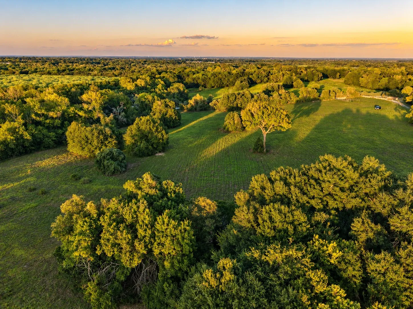 Unimproved Land For Sale in Washington (TX) County , 10277 Mount Falls School Road, Washington, Texas 77880, 0, 0, Garage spaces, 0 Sqft, built in 0, mls#21387561, Real Estate Agent in Washington, Homes For Sale in Washington (TX) county, Homes For Sale in Washington, Realtor in Washington Texas, Real Estate Brokerage Independent Realty Texas, Luminita Cordes Realtor
