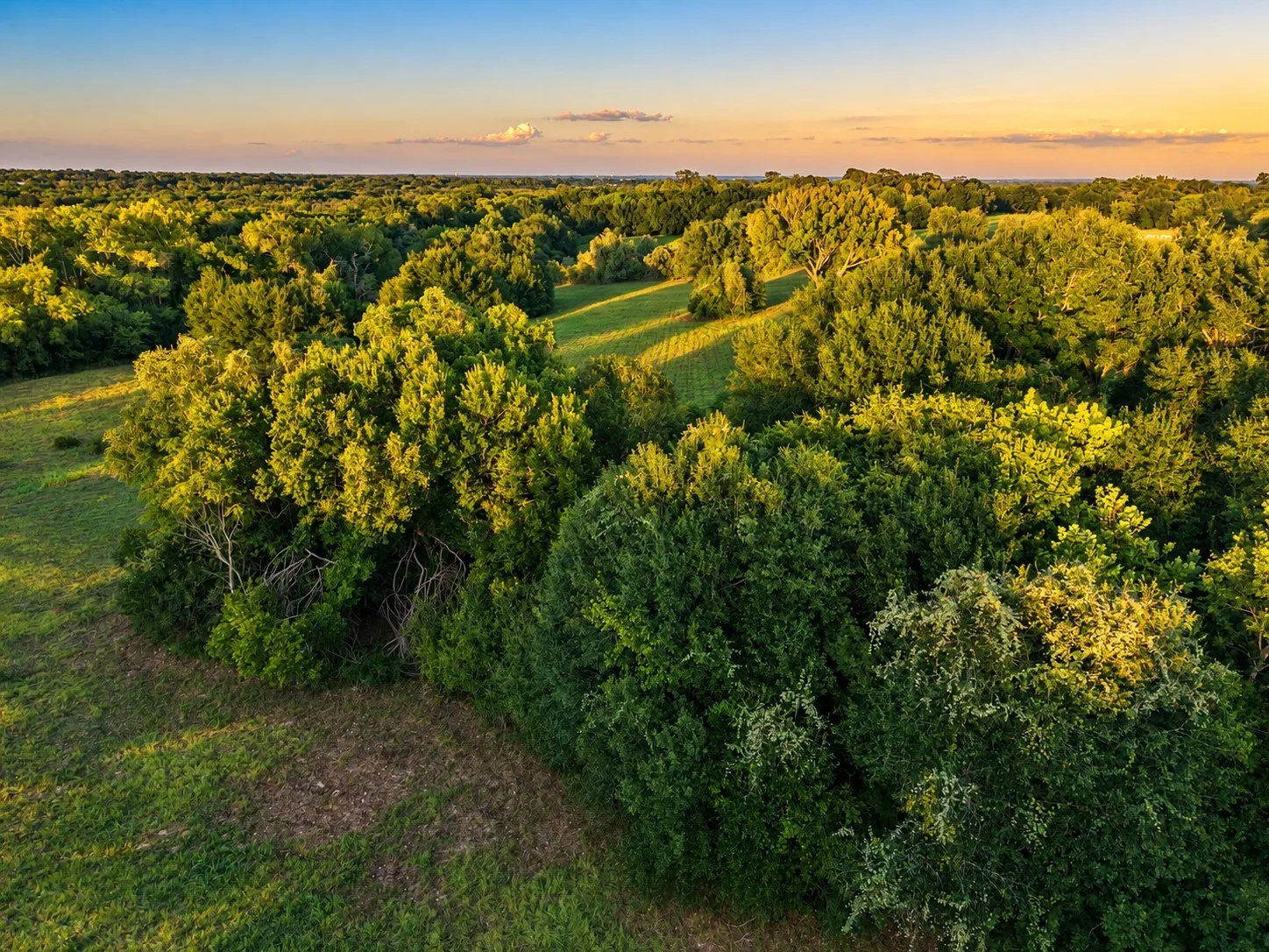 Unimproved Land For Sale in Washington (TX) County , 10277 Mount Falls School Road, Washington, Texas 77880, 0, 0, Garage spaces, 0 Sqft, built in 0, mls#21387561, Real Estate Agent in Washington, Homes For Sale in Washington (TX) county, Homes For Sale in Washington, Realtor in Washington Texas, Real Estate Brokerage Independent Realty Texas, Luminita Cordes Realtor
