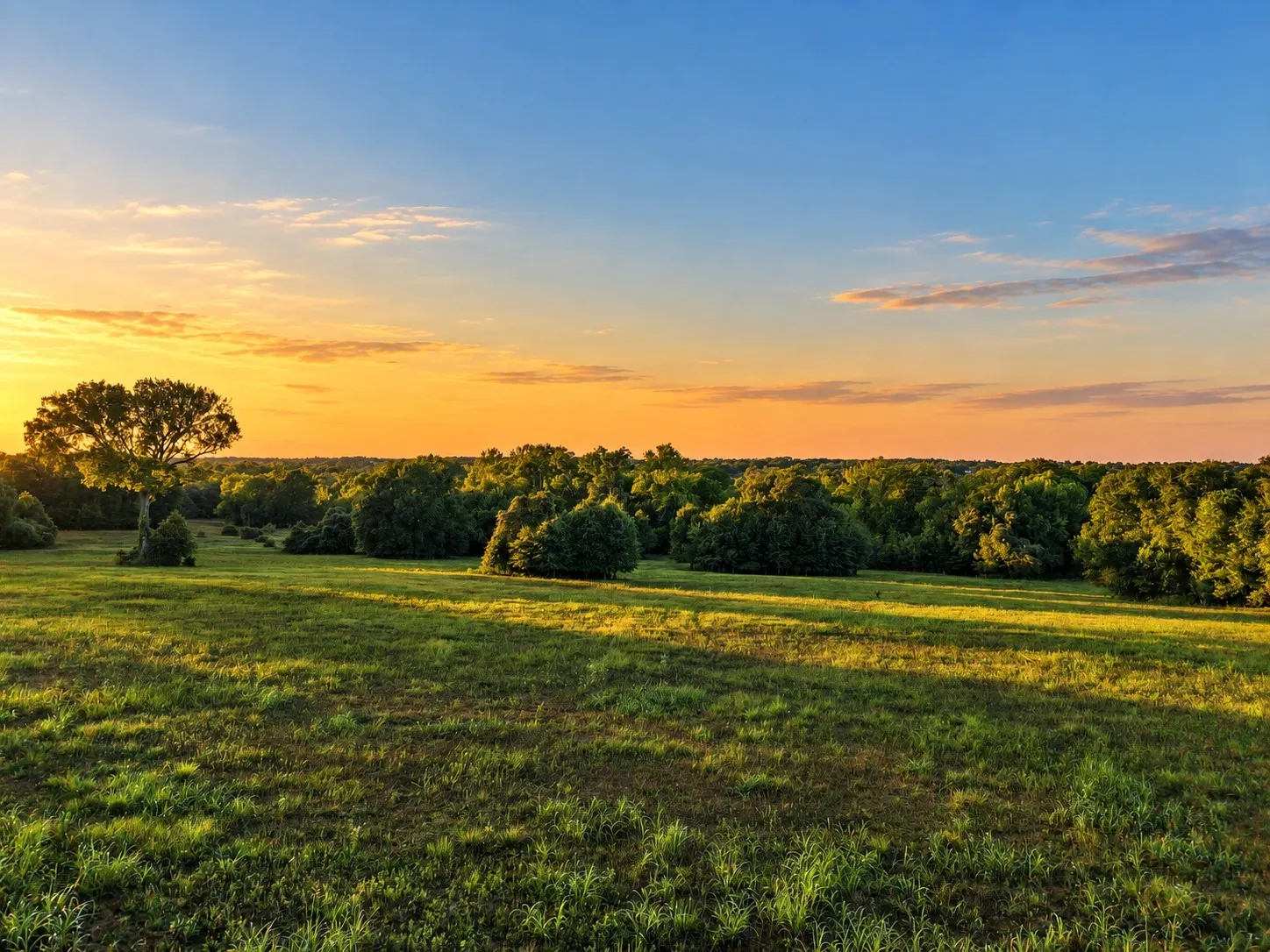 Unimproved Land For Sale in Washington (TX) County , 10277 Mount Falls School Road, Washington, Texas 77880, 0, 0, Garage spaces, 0 Sqft, built in 0, mls#21387561, Real Estate Agent in Washington, Homes For Sale in Washington (TX) county, Homes For Sale in Washington, Realtor in Washington Texas, Real Estate Brokerage Independent Realty Texas, Luminita Cordes Realtor