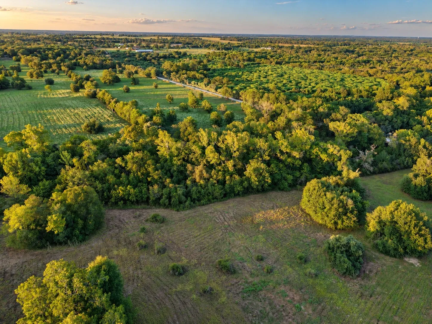 Unimproved Land For Sale in Washington (TX) County , 10277 Mount Falls School Road, Washington, Texas 77880, 0, 0, Garage spaces, 0 Sqft, built in 0, mls#21387561, Real Estate Agent in Washington, Homes For Sale in Washington (TX) county, Homes For Sale in Washington, Realtor in Washington Texas, Real Estate Brokerage Independent Realty Texas, Luminita Cordes Realtor