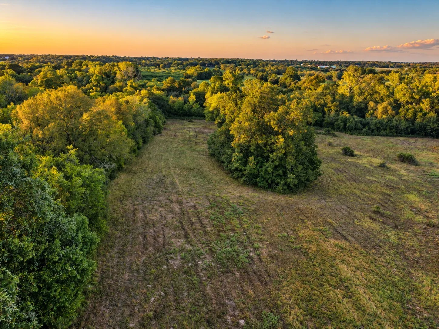 Unimproved Land For Sale in Washington (TX) County , 10277 Mount Falls School Road, Washington, Texas 77880, 0, 0, Garage spaces, 0 Sqft, built in 0, mls#21387561, Real Estate Agent in Washington, Homes For Sale in Washington (TX) county, Homes For Sale in Washington, Realtor in Washington Texas, Real Estate Brokerage Independent Realty Texas, Luminita Cordes Realtor