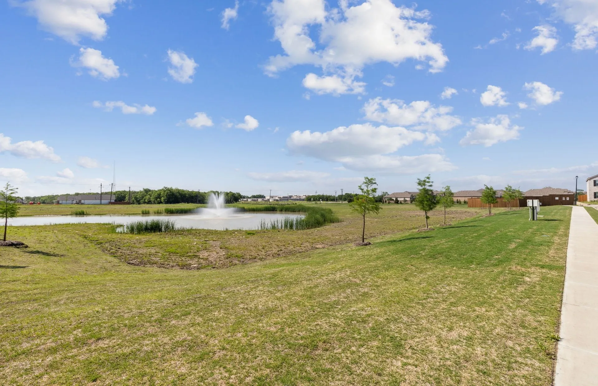 Community pond