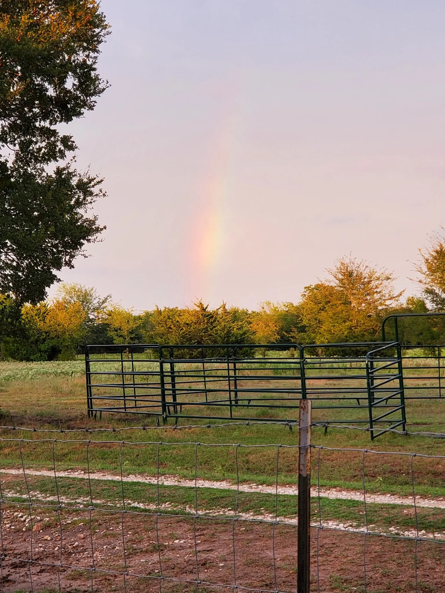 Photo of property in bloom