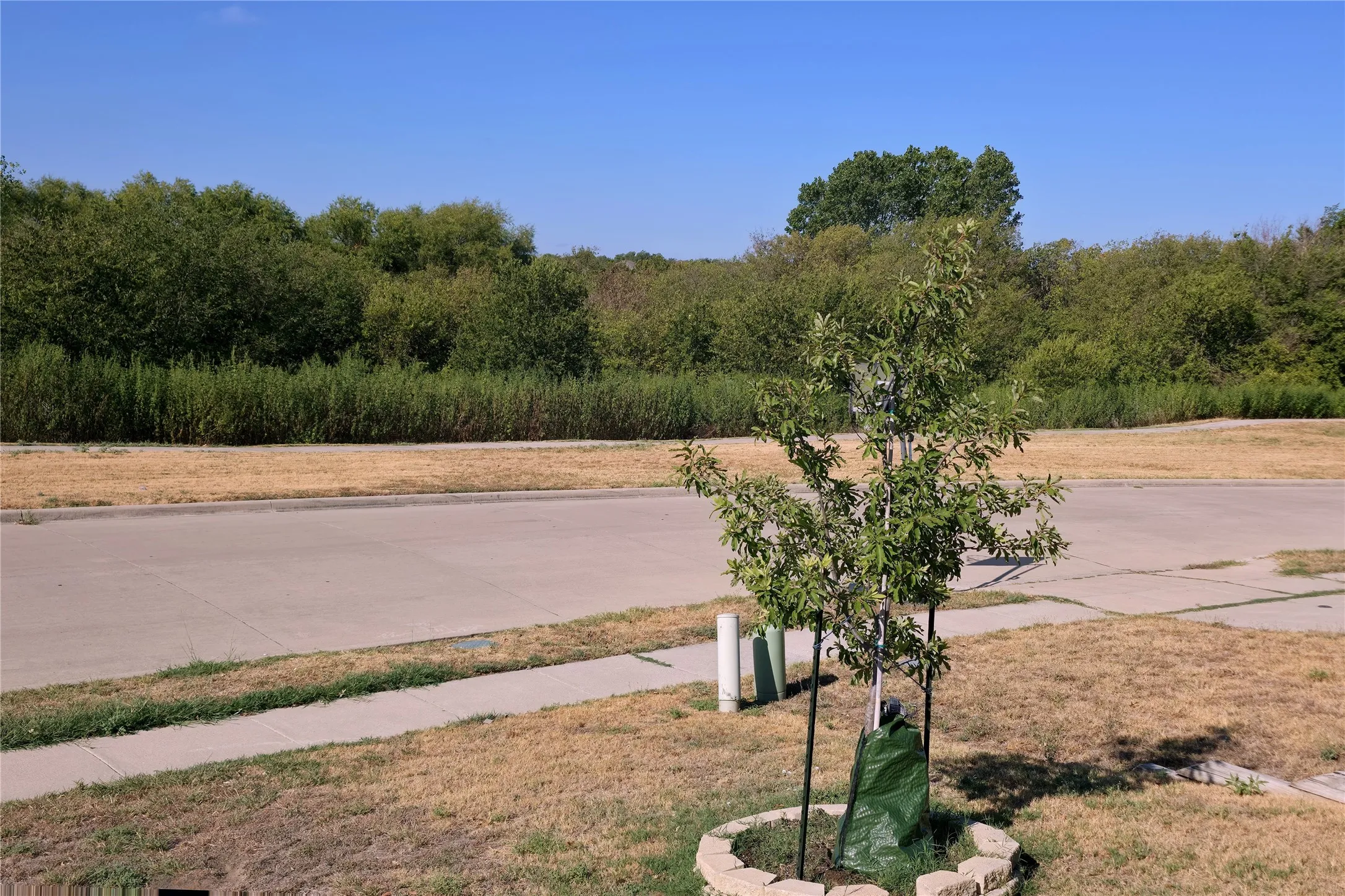 Unobstructed view of the city park from your front yard!