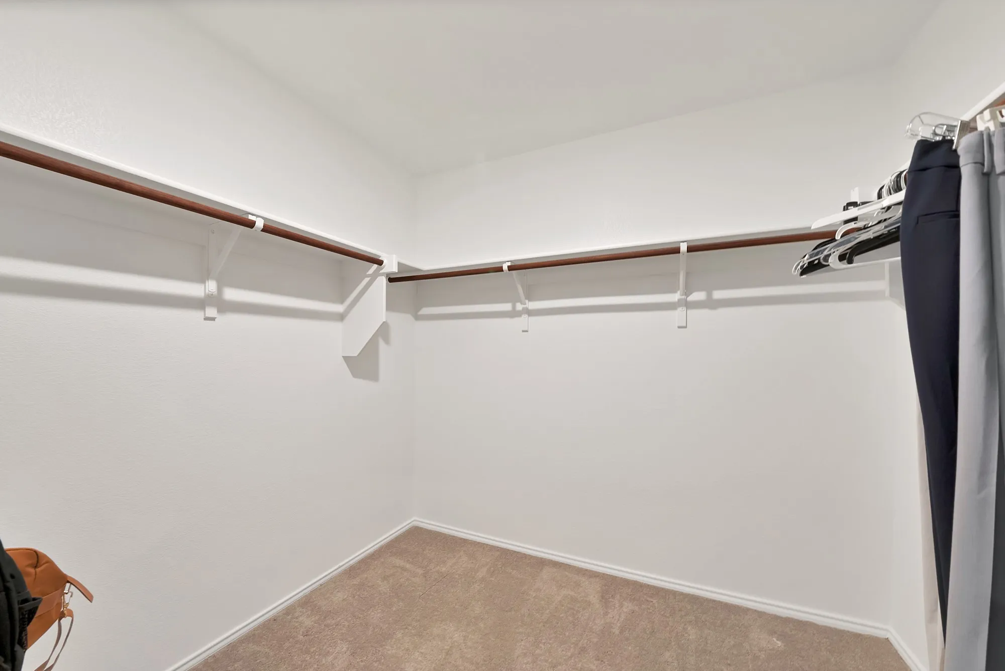 Walk-in closet featuring plush carpet flooring, white walls, and L-shaped shelving with hanging rods