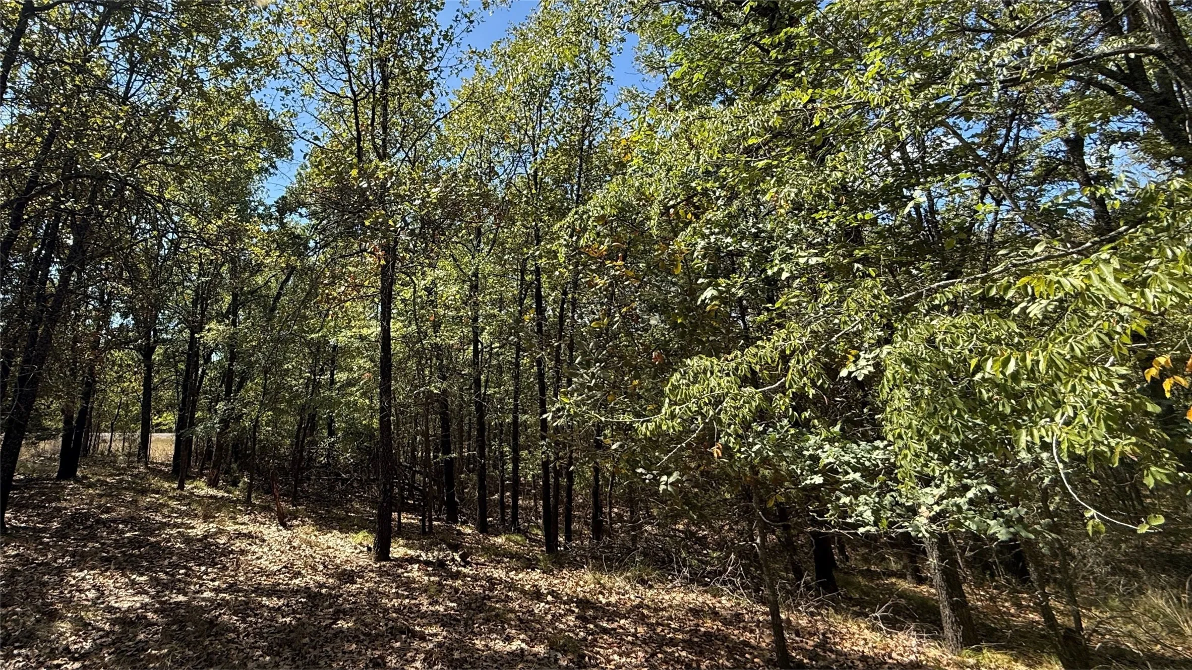 Unimproved Land For Sale in Navarro County , Lot 22 Loper Circle, Streetman, Texas 75859, 0, 0, Garage spaces, 0 Sqft, built in 0, mls#21387851, Real Estate Agent in Streetman, Homes For Sale in Navarro county, Homes For Sale in Streetman, Realtor in Streetman Texas, Real Estate Brokerage Independent Realty Texas, Luminita Cordes Realtor