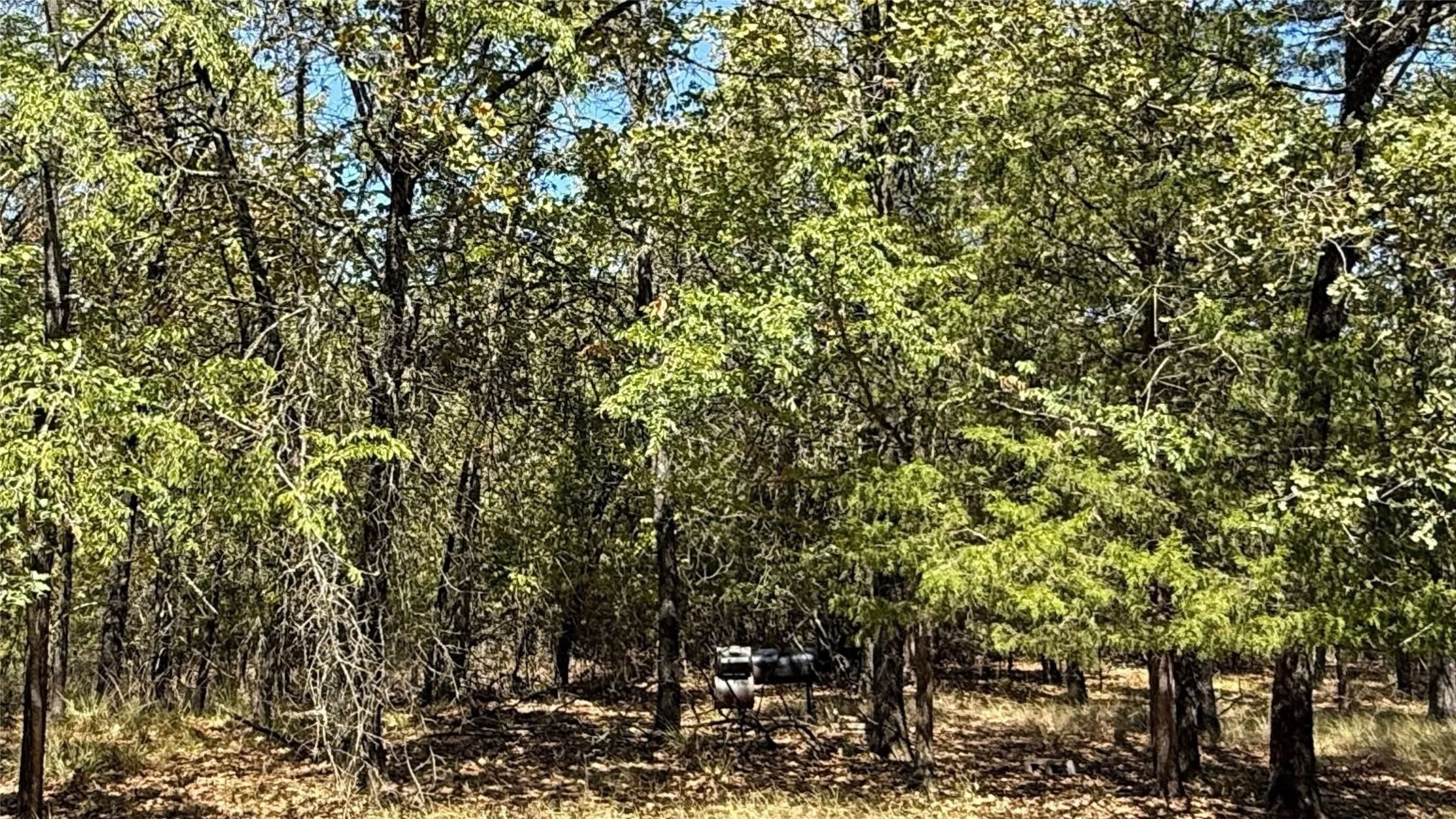Unimproved Land For Sale in Navarro County , Lot 22 Loper Circle, Streetman, Texas 75859, 0, 0, Garage spaces, 0 Sqft, built in 0, mls#21387851, Real Estate Agent in Streetman, Homes For Sale in Navarro county, Homes For Sale in Streetman, Realtor in Streetman Texas, Real Estate Brokerage Independent Realty Texas, Luminita Cordes Realtor