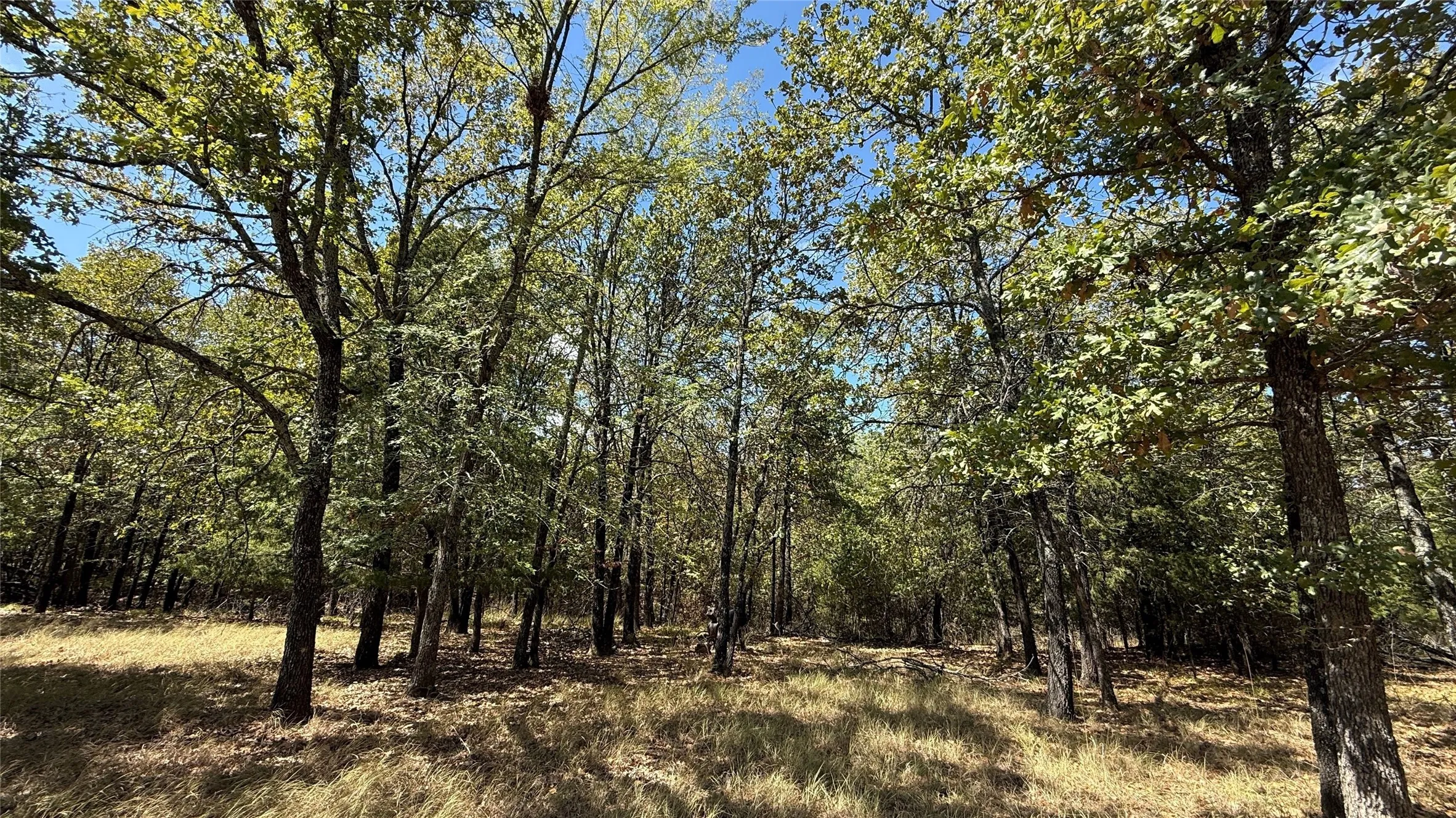 Unimproved Land For Sale in Navarro County , Lot 22 Loper Circle, Streetman, Texas 75859, 0, 0, Garage spaces, 0 Sqft, built in 0, mls#21387851, Real Estate Agent in Streetman, Homes For Sale in Navarro county, Homes For Sale in Streetman, Realtor in Streetman Texas, Real Estate Brokerage Independent Realty Texas, Luminita Cordes Realtor