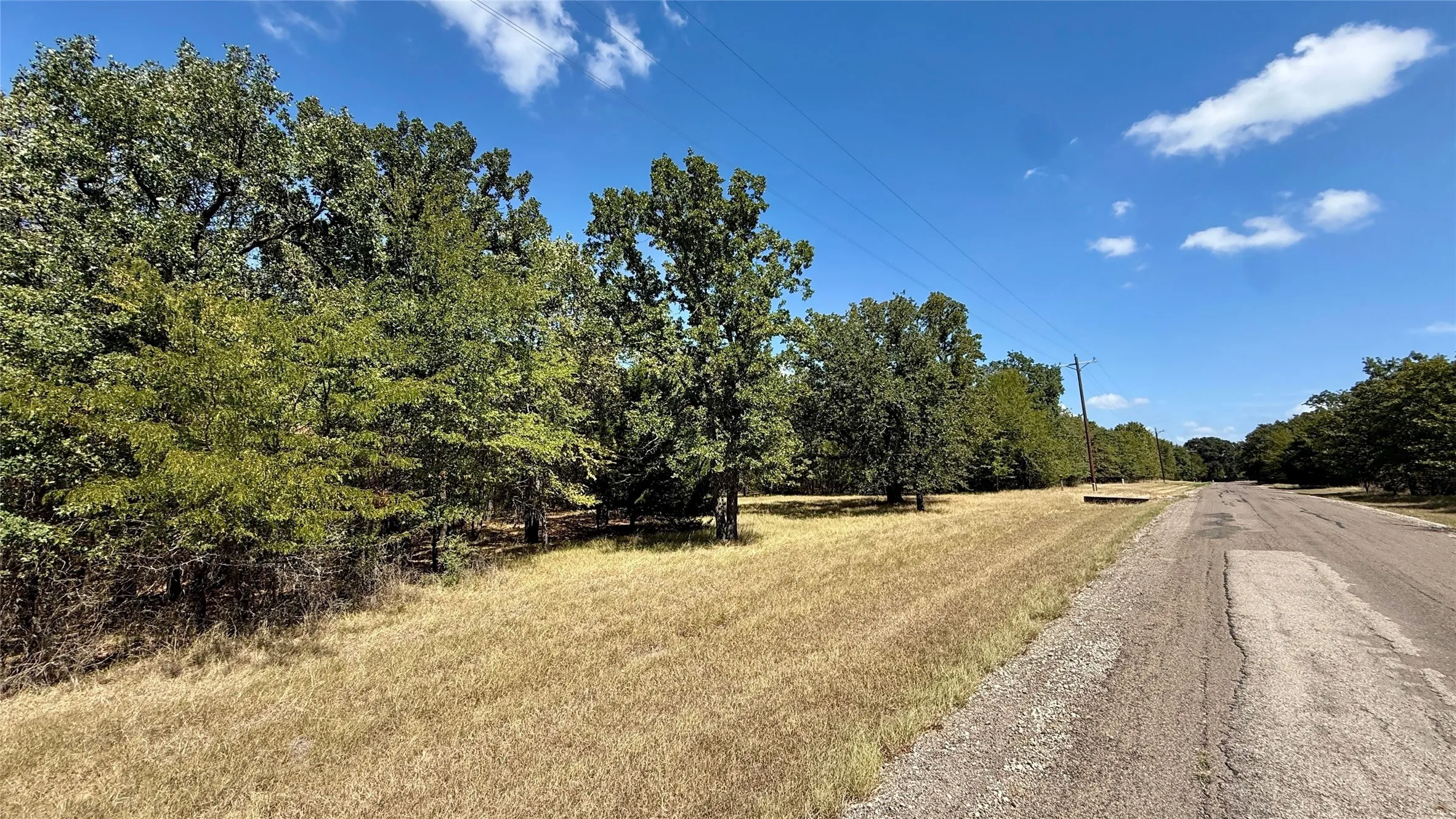 Unimproved Land For Sale in Navarro County , Lot 22 Loper Circle, Streetman, Texas 75859, 0, 0, Garage spaces, 0 Sqft, built in 0, mls#21387851, Real Estate Agent in Streetman, Homes For Sale in Navarro county, Homes For Sale in Streetman, Realtor in Streetman Texas, Real Estate Brokerage Independent Realty Texas, Luminita Cordes Realtor