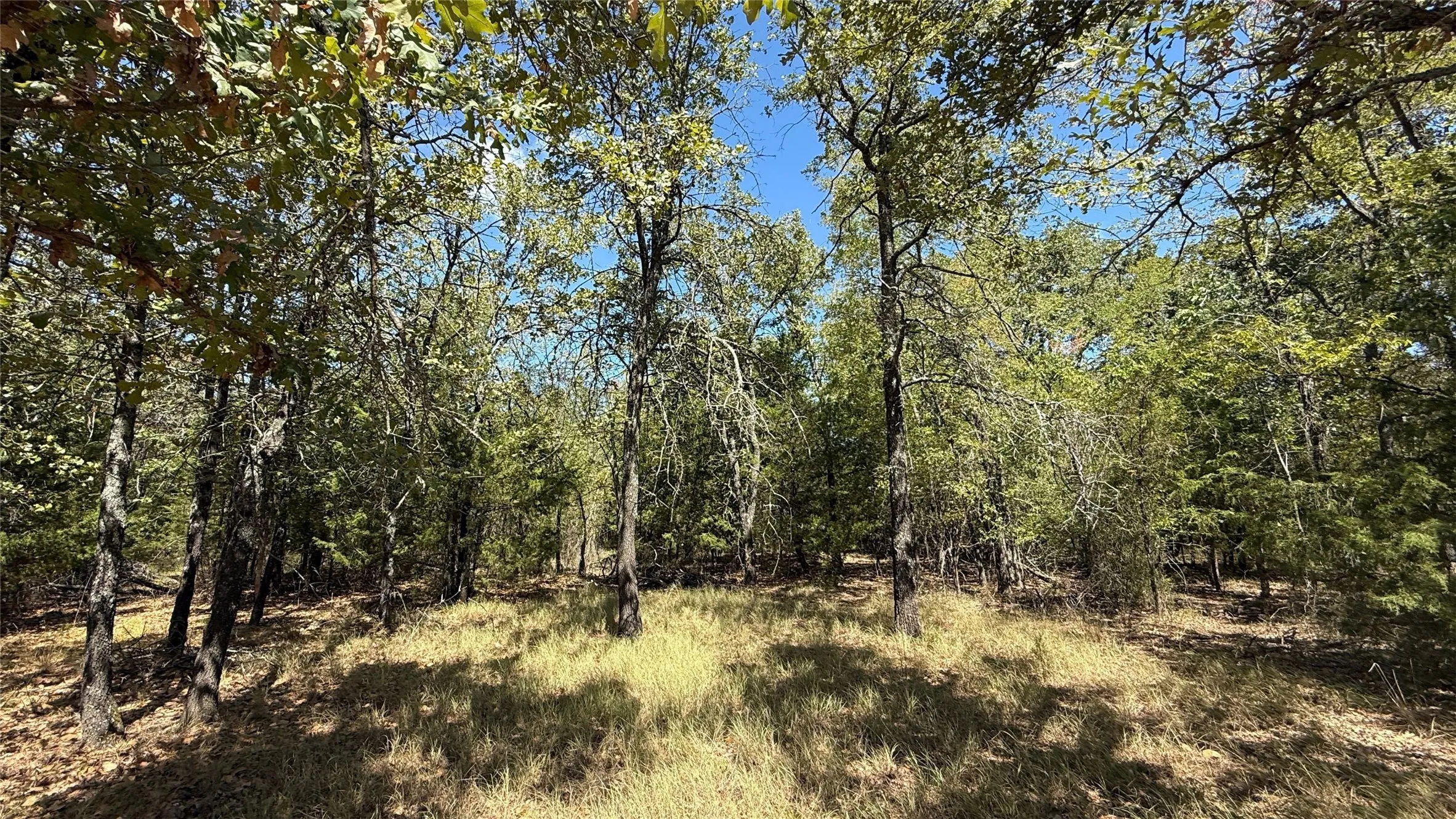 Unimproved Land For Sale in Navarro County , Lot 22 Loper Circle, Streetman, Texas 75859, 0, 0, Garage spaces, 0 Sqft, built in 0, mls#21387851, Real Estate Agent in Streetman, Homes For Sale in Navarro county, Homes For Sale in Streetman, Realtor in Streetman Texas, Real Estate Brokerage Independent Realty Texas, Luminita Cordes Realtor