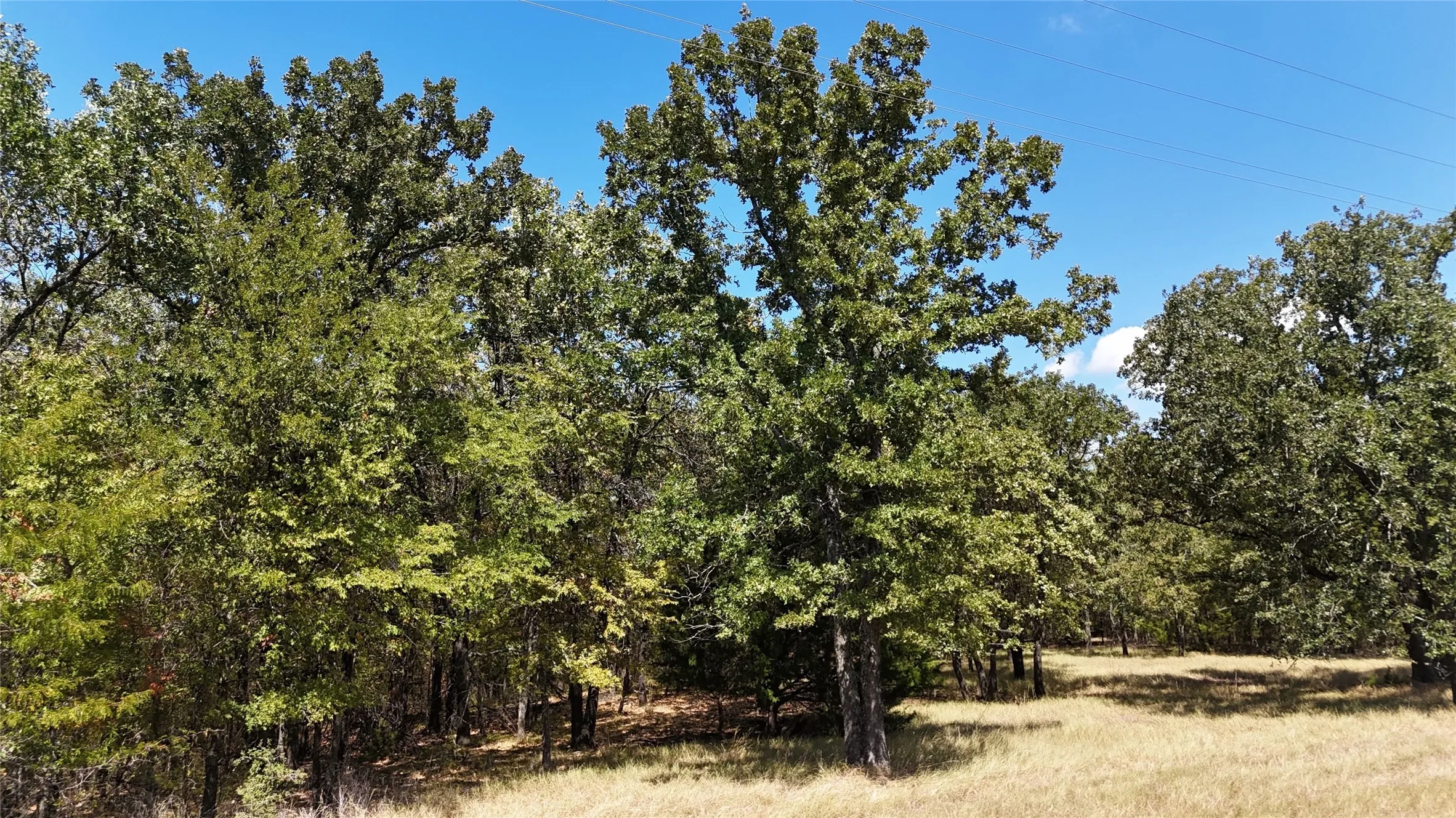Unimproved Land For Sale in Navarro County , Lot 22 Loper Circle, Streetman, Texas 75859, 0, 0, Garage spaces, 0 Sqft, built in 0, mls#21387851, Real Estate Agent in Streetman, Homes For Sale in Navarro county, Homes For Sale in Streetman, Realtor in Streetman Texas, Real Estate Brokerage Independent Realty Texas, Luminita Cordes Realtor