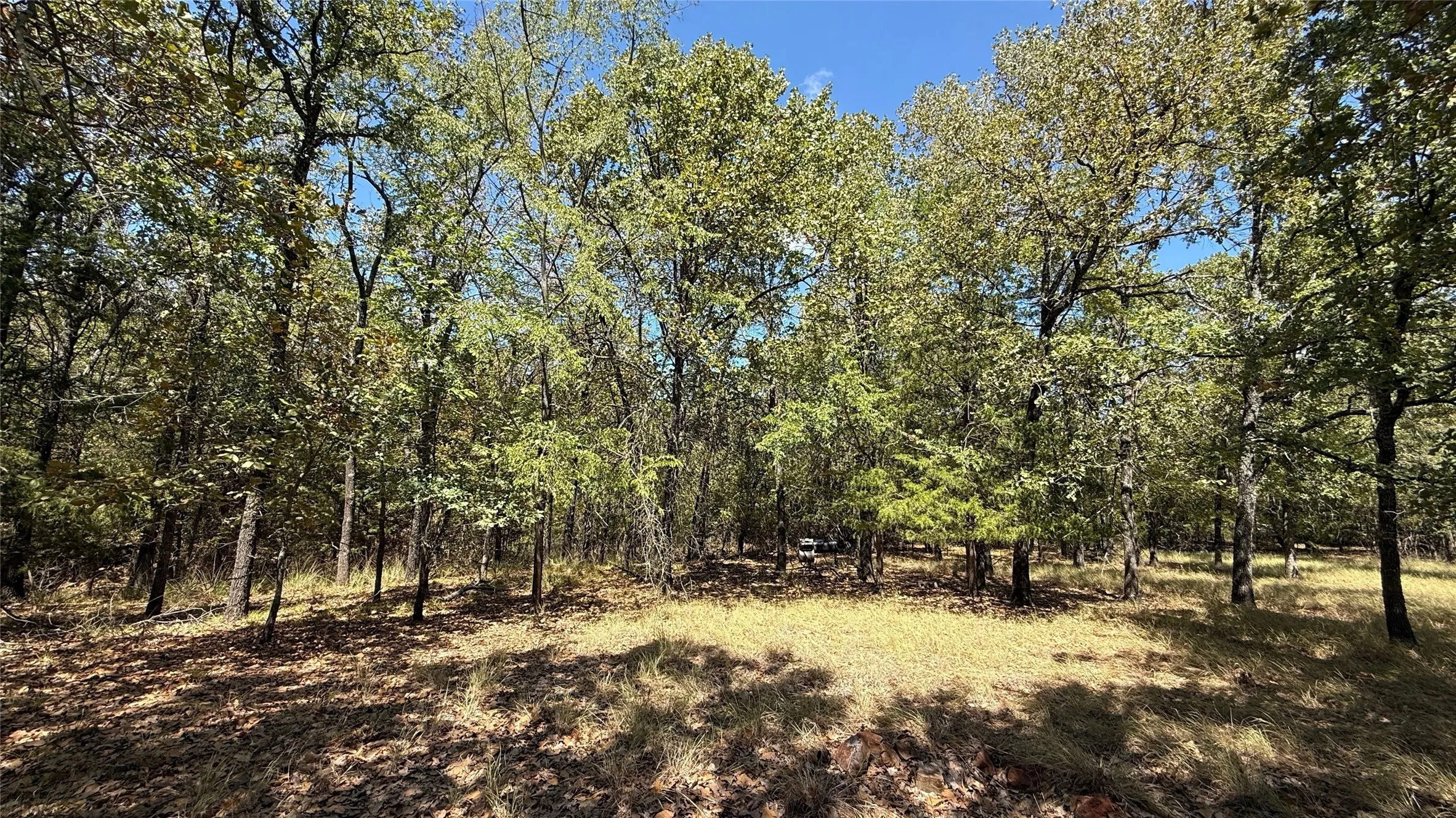 Unimproved Land For Sale in Navarro County , Lot 22 Loper Circle, Streetman, Texas 75859, 0, 0, Garage spaces, 0 Sqft, built in 0, mls#21387851, Real Estate Agent in Streetman, Homes For Sale in Navarro county, Homes For Sale in Streetman, Realtor in Streetman Texas, Real Estate Brokerage Independent Realty Texas, Luminita Cordes Realtor